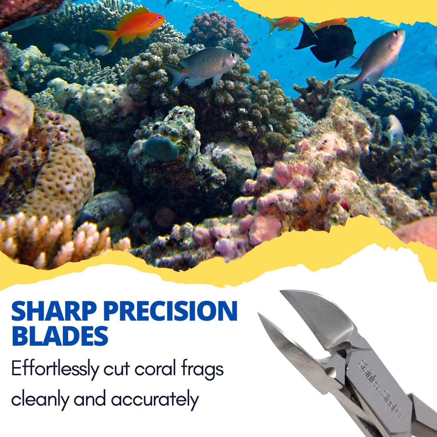 IMED SCIENTIFIC Marine Coral Reef Cutter Shears 6" Stainless Steel Trimmer with Spring Barrel for Fragging and Reef Aquarium Maintenance