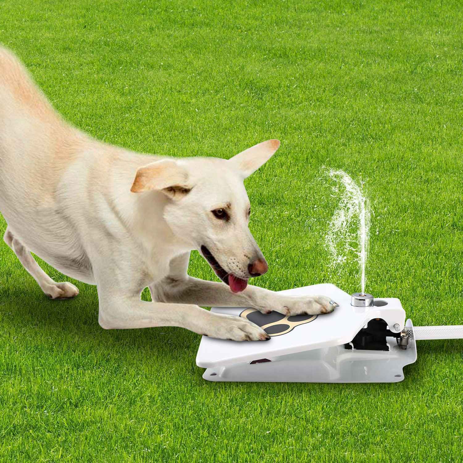 Dog Water Fountain Step-on Activated Sprinkler Toy for Drinking Fresh Water