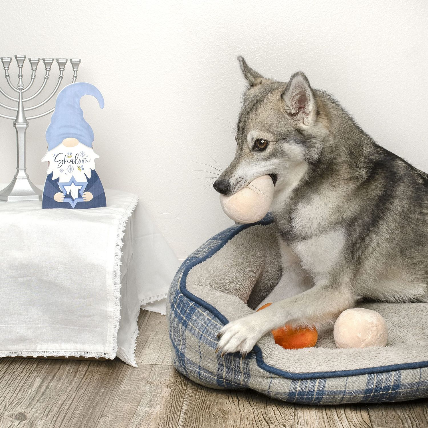 Midlee Matzo Ball Soup Plush Dog Toy