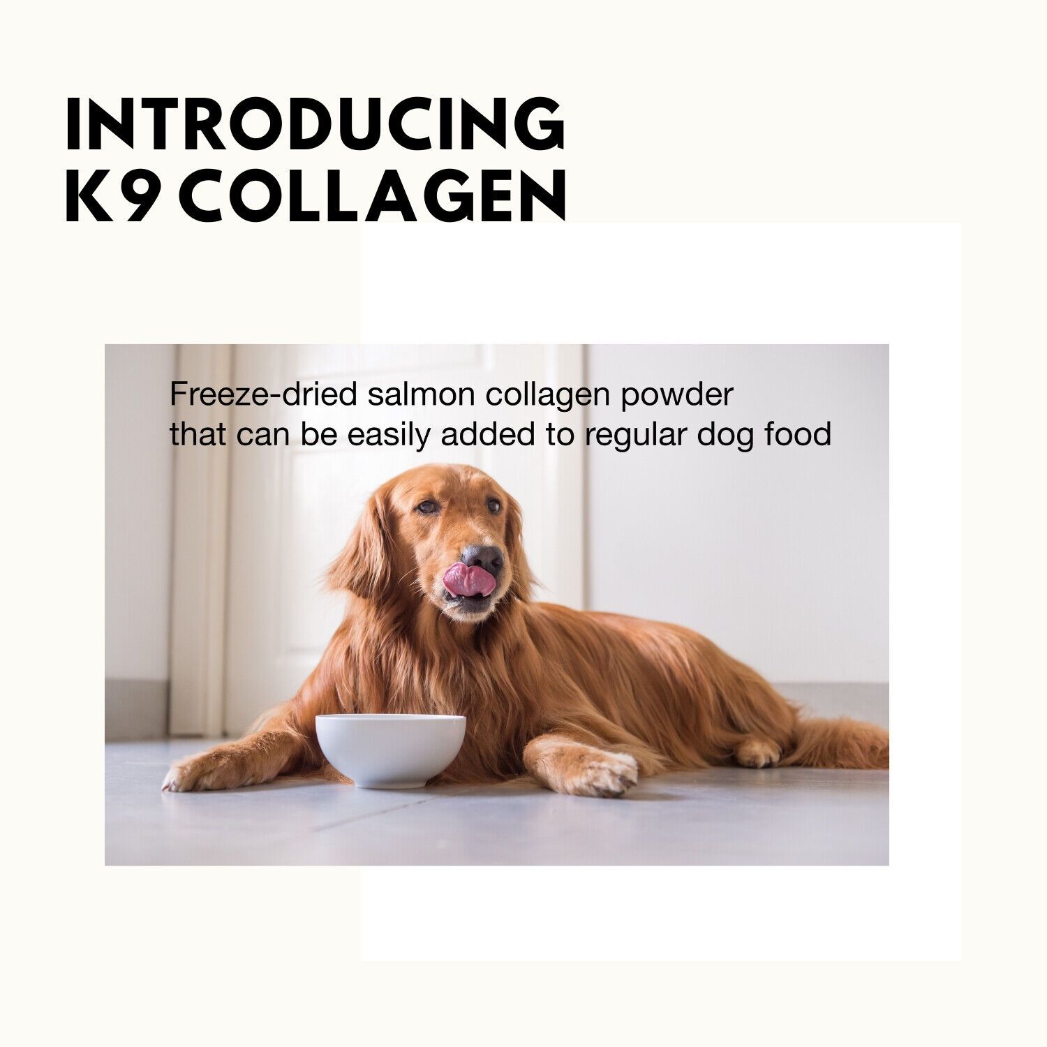 Collagen Hip-Joint Pet Dog Supplements Improve Mobility Health For 1 Month