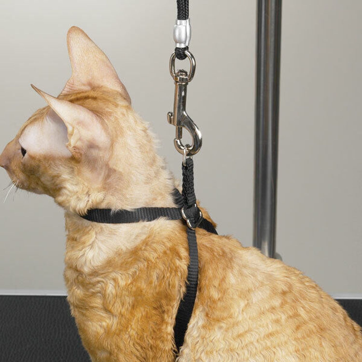 Black Nylon Adjustable Cat Harness 40" Secure Pet Restraint Easy Snap Closure