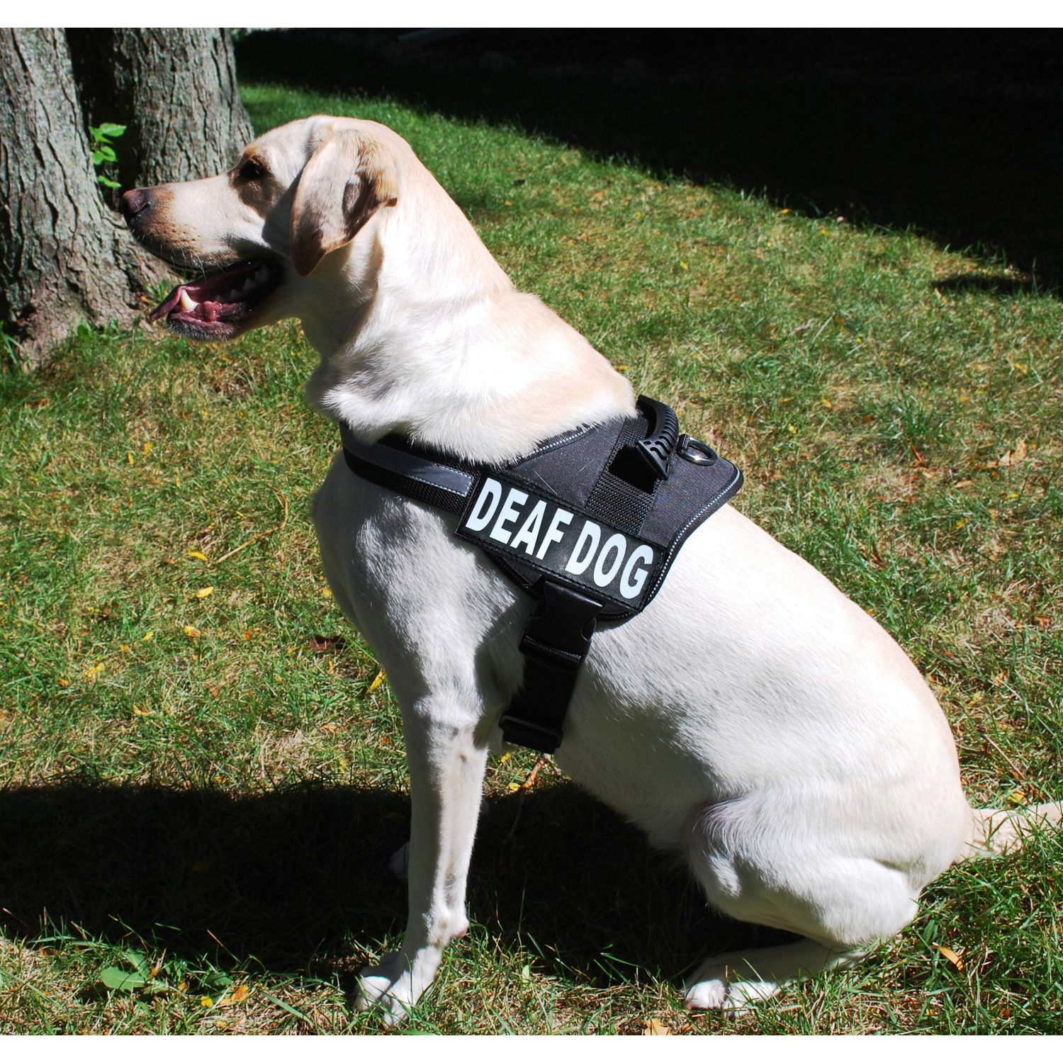 Doggie Stylz Set of 2 Reflective Deaf Dog Removable Patches with Hook Backing for Working Dog Harnesses & Vests. Durable and Interchangeable - Comes in 3 Sizes Small, Medium and Large