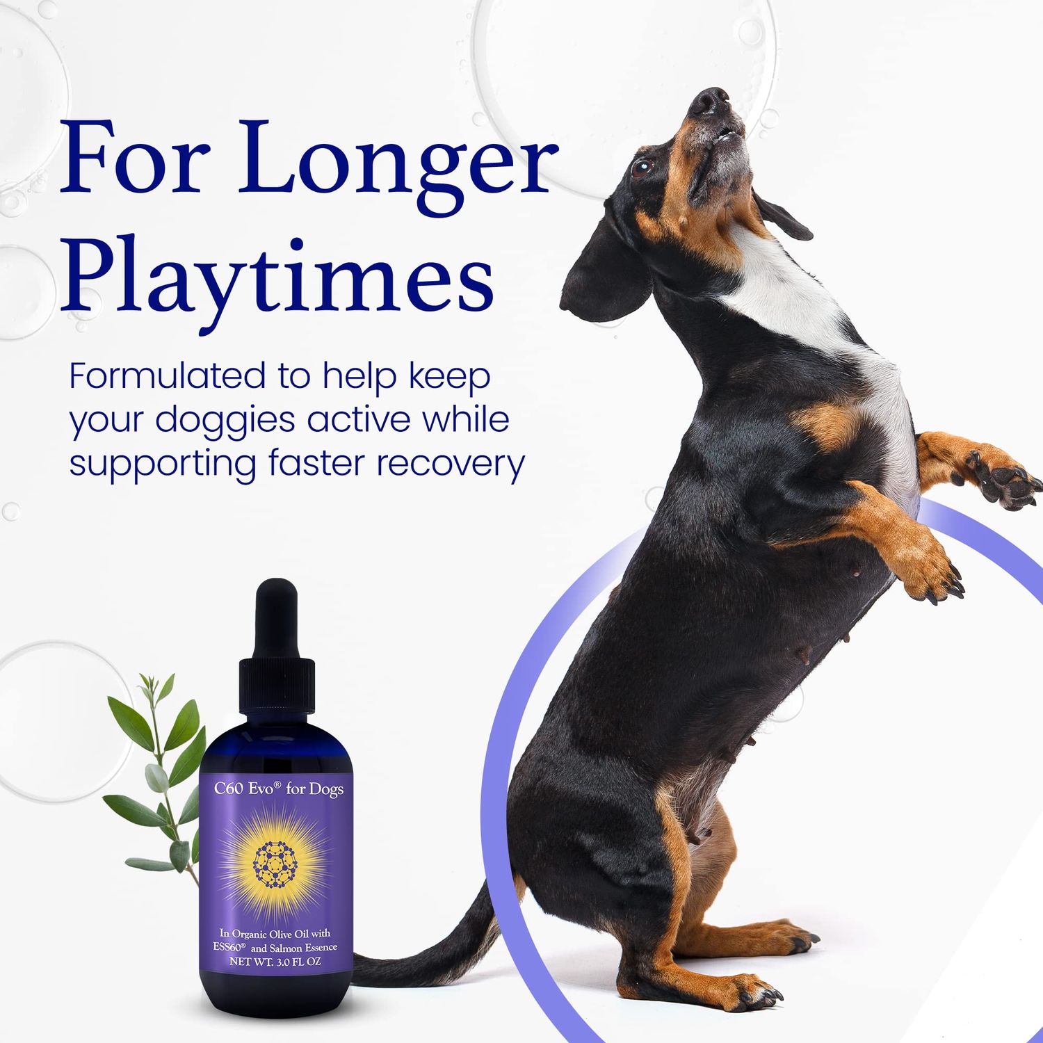 C60 Evo Dog Supplement, Pure ESS60 in Extra Virgin Olive Oil for Dogs, All-in-One Dog Immune Supplement, Dog Joint and Energy Support, Infused with Natural Bacon Essence, 3 oz - C60 Evo