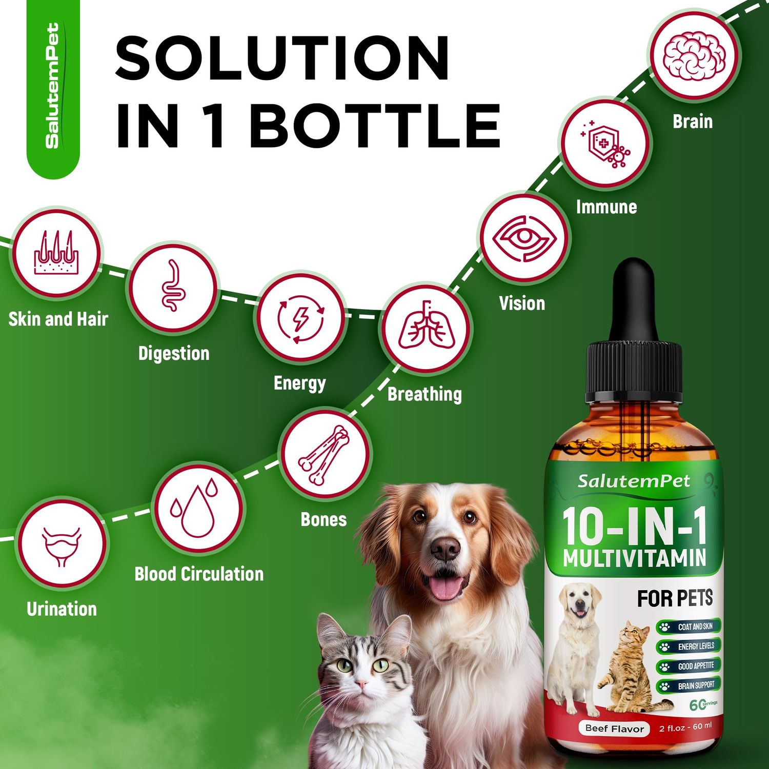 Liquid Multivitamin for Dogs - Multivitamin for Cats - Dog Vitamins and Supplements - Beef Flavor, 2 fl.oz