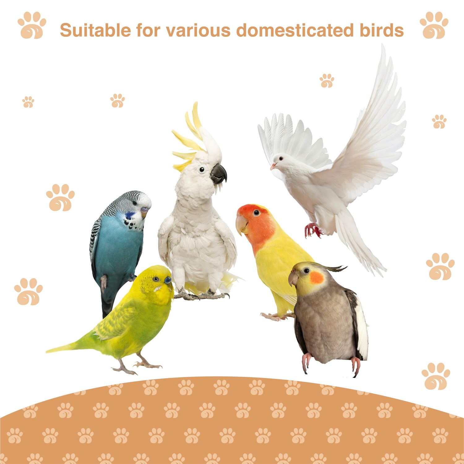 Wagably Bird Ladder Perch for Cage - Natural Wooden Bridge, Exercise Stands for Parrot Climbing - Pet Training Ladders - Hanging Playground -Toys for Parakeet, Cockatiel, Conures, Lovebirds, Budgie