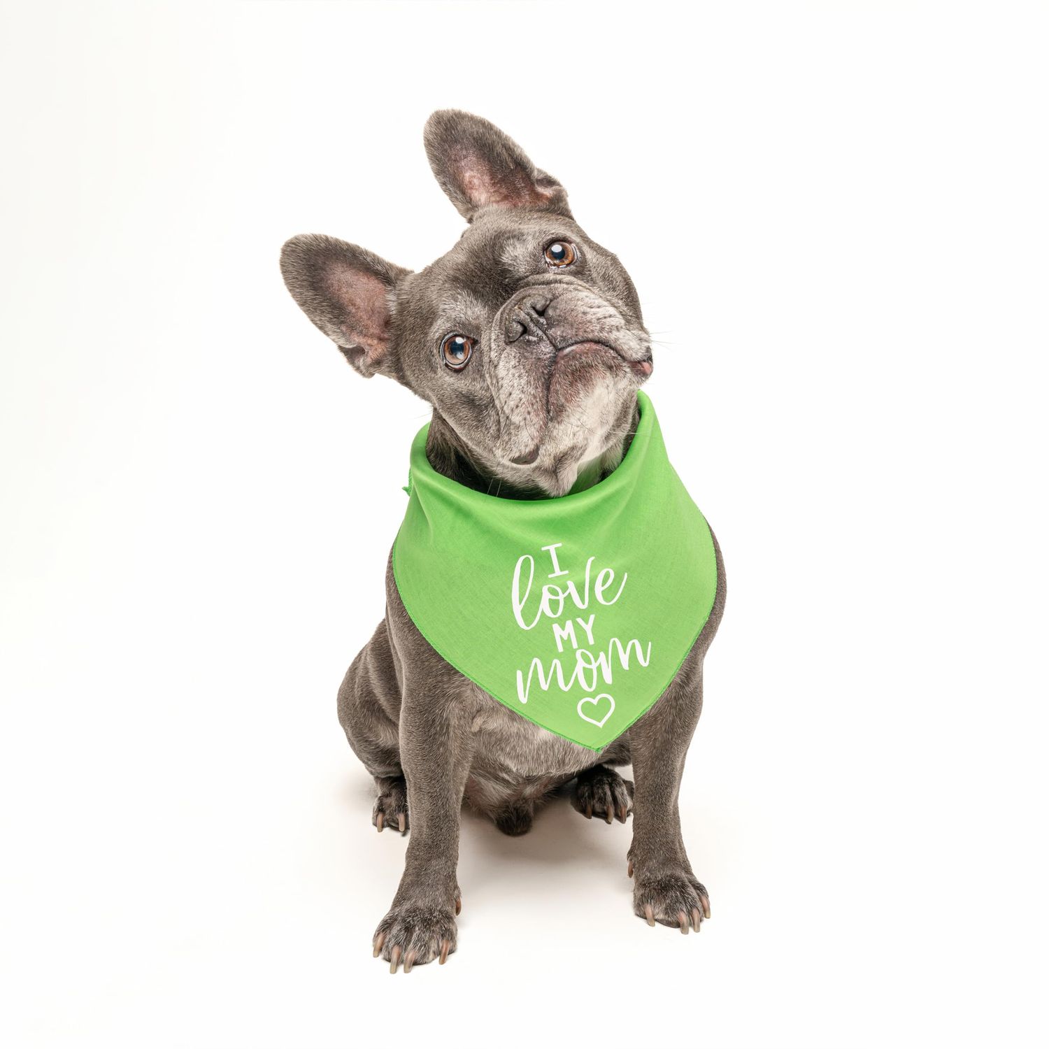 I Love My Mom Valentine's Day, Mother's Day Dog Bandana (Black, XS 177)