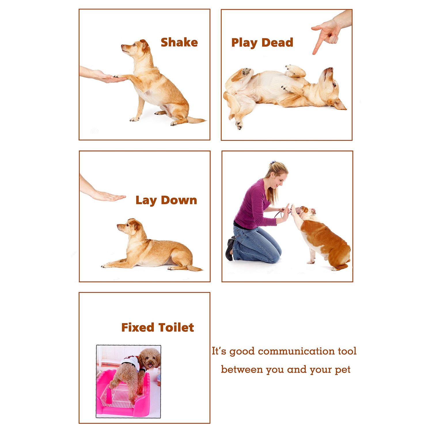 Pet Training Clicker with Wrist Strap - Dog Training Clickers 4 Color