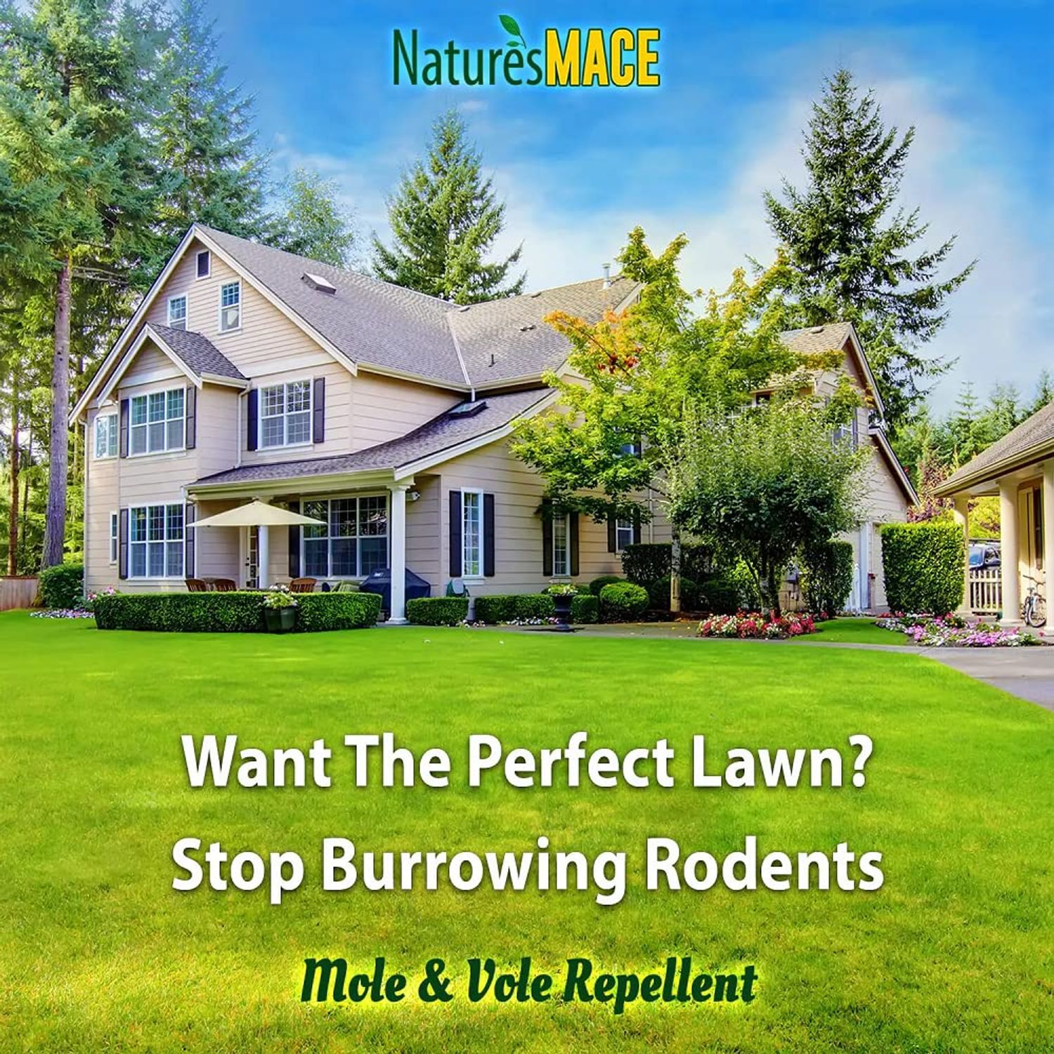 Nature’s Mace Mole and Vole MACE, 5 Gallon Castor Oil Concentrate, Outdoor Lawn & Garden Mole Control, Mole Remover, Vole Repellent Outdoor, Castor Oil for Moles, Stop Tunneling, Pet & Plant Safe