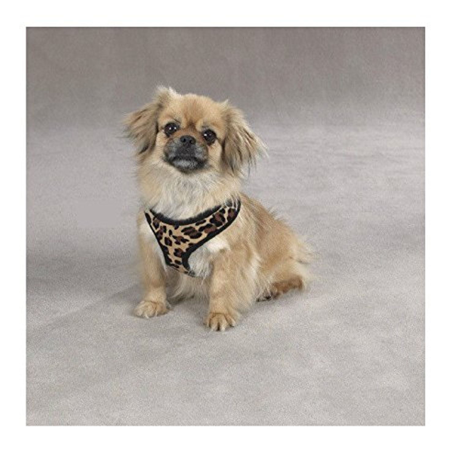 Zack & Zoey Zebra or Leopard Print Soft Plush Dog Harness Durable Reliable Walk Safety(Large Leopard Print)