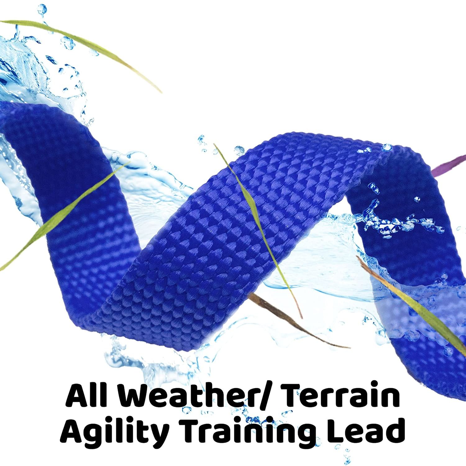 Downtown Pet Supply - Long Dog Leash - Dog Training Leash - Recall & Obedience Dog Training Tools - Nylon - 50 ft - Blue Dog Leash