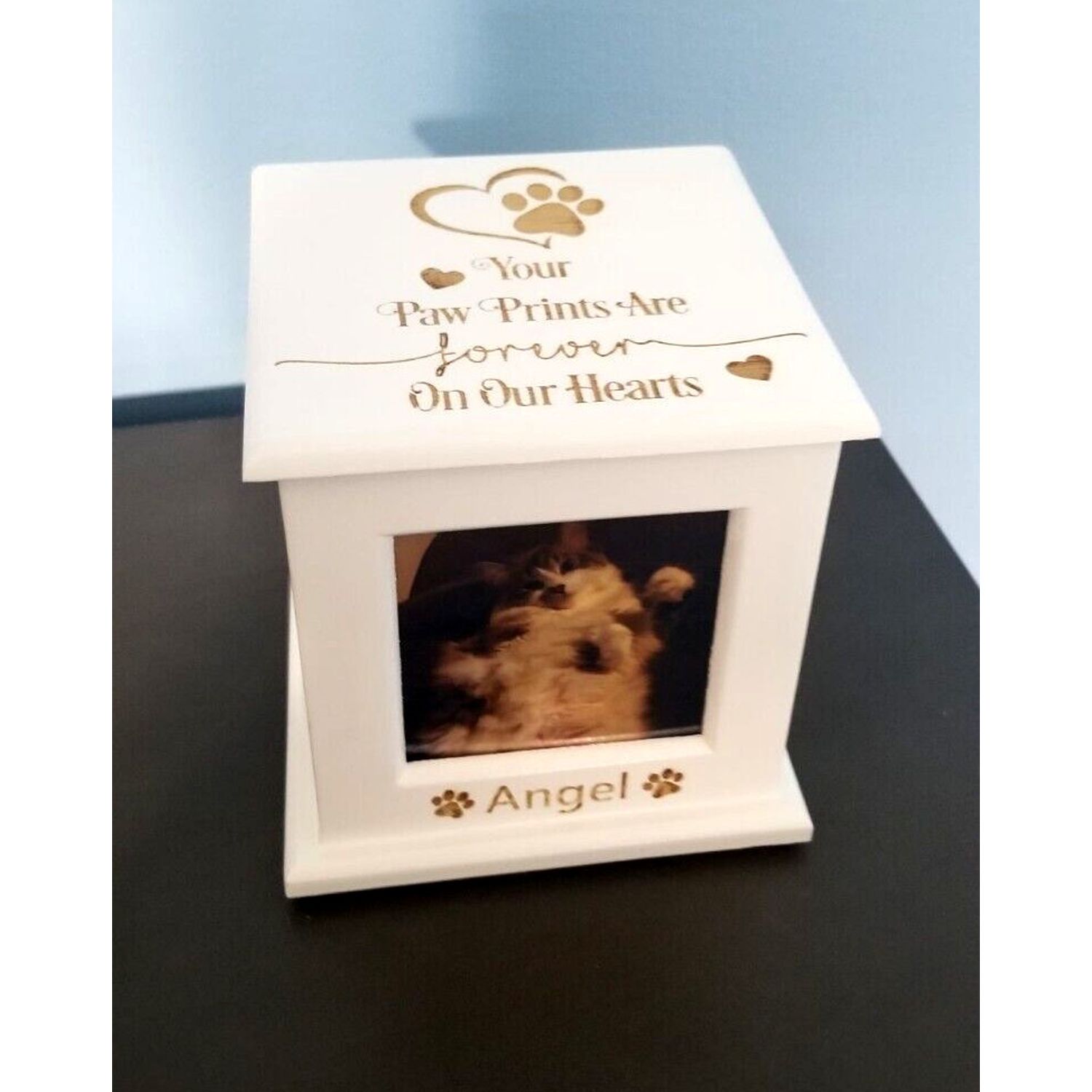 Pet Urn Memorial for Cremation Ashes | Cat Urn & Dog Urn Laser-Engraved ❤️