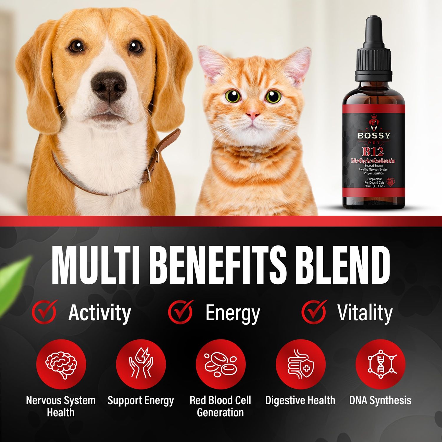 B12 Liquid for Dogs & Cats - Vitamin B12 for Dogs & Cats - Liquid Vitamin B12 for Pets - Methylcobalamin Liquid for Dogs & Cats - Vitamin Supplement for Pets - Vet Formulated