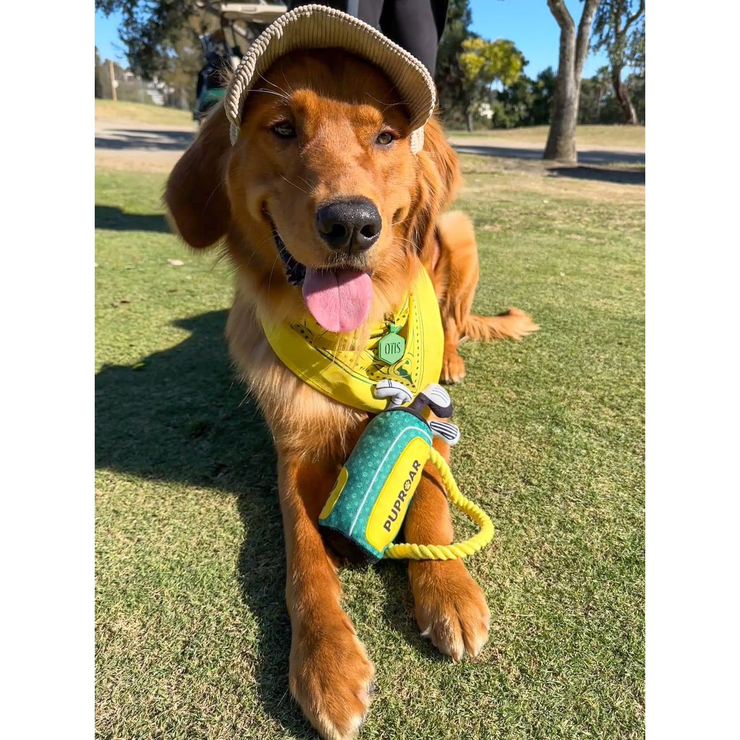 PUPROAR Golf Dog Toy – Funny Dog Toys with Squeaker, Crinkle & Rope, Plush Cute Easter Gift & Fun Birthday Present for Boy & Girl Puppy