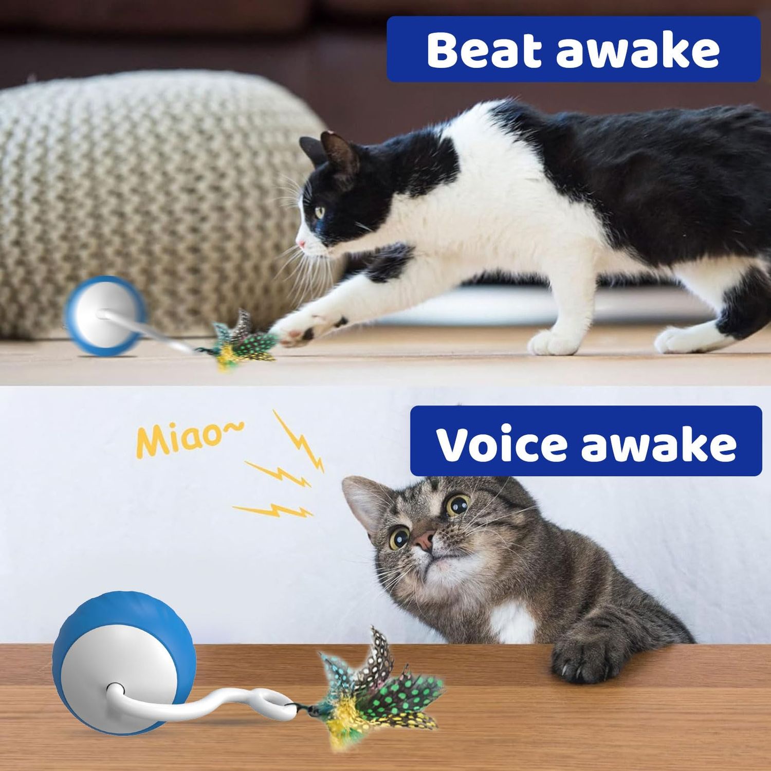WAKHJAKT Interactive Cat Toys for Indoor Cats, DIY 5 in 1 Automatic Moving Cat Ball Toys/Puppies Toys with LED Rainbow Lights, Smart Sounds&Touch Control Cat Toys,USB Rechargeable (Blue)