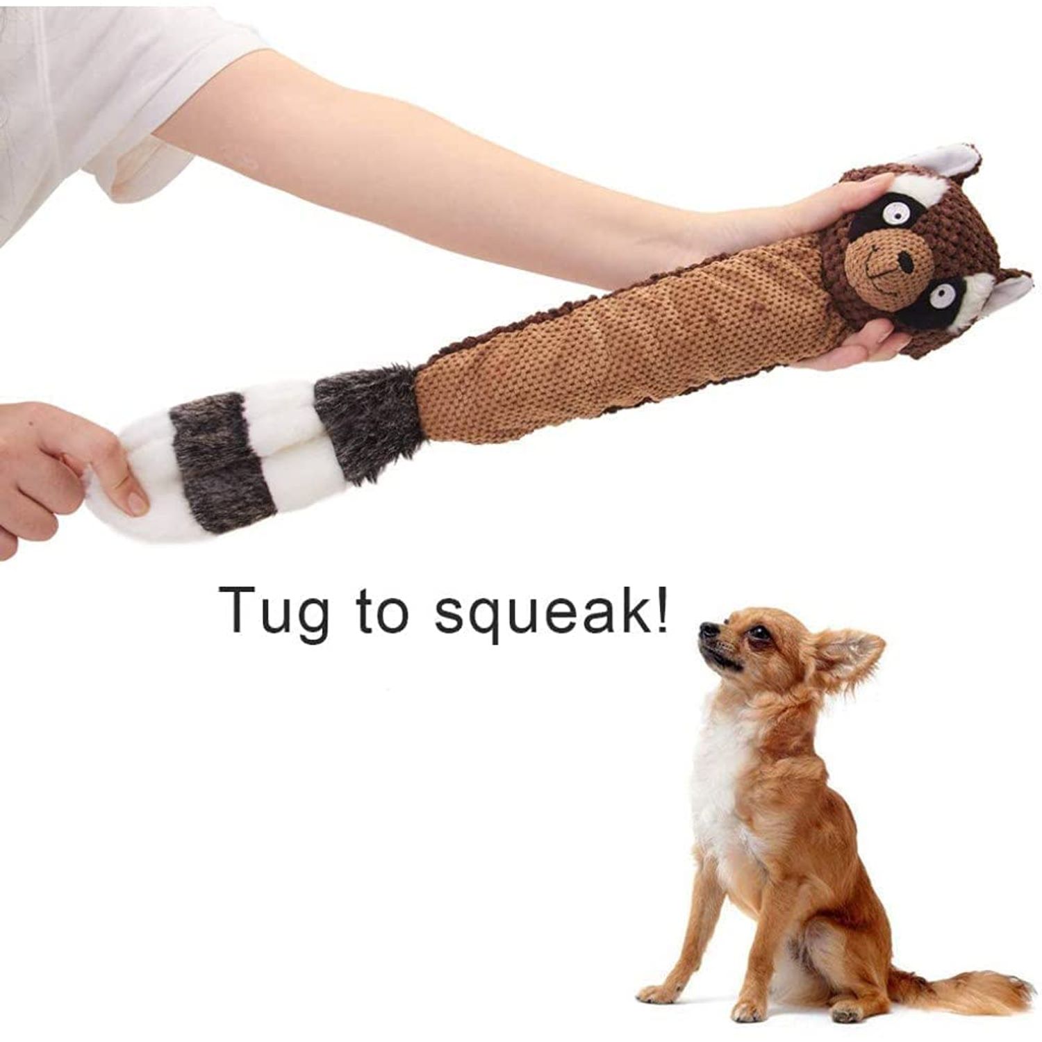 Dog Toy Plush Durable Small Dog Toys Low Stuffing Interactive Dog Plush Toys W/Squeaker Puppy Chew Toys Reduces Boredom (Medium, Raccoon) (Raccoon)