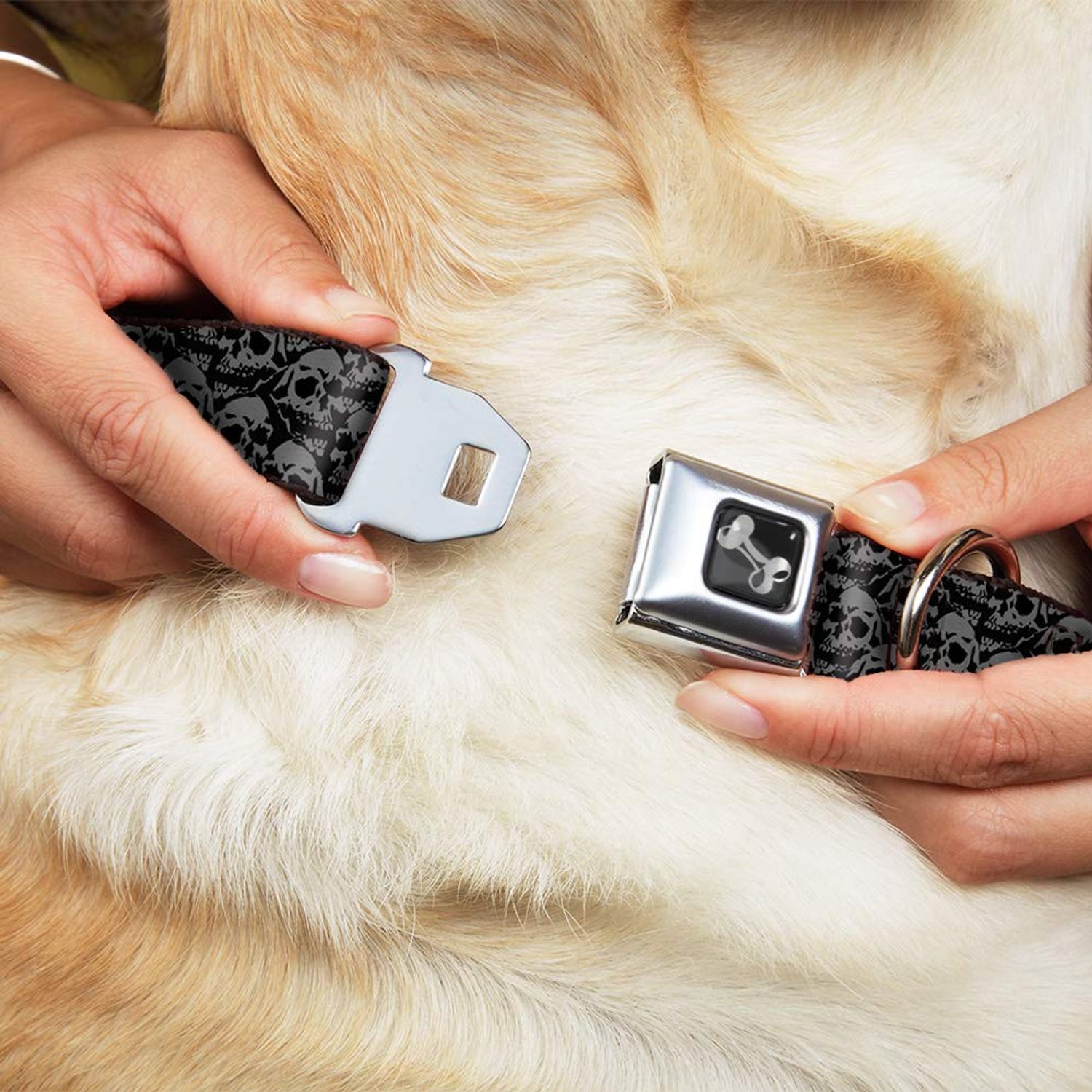 Buckle-Down Seatbelt Buckle Dog Collar - Skull Yard Black/Gray - 1" Wide - Fits 11-17" Neck - Medium