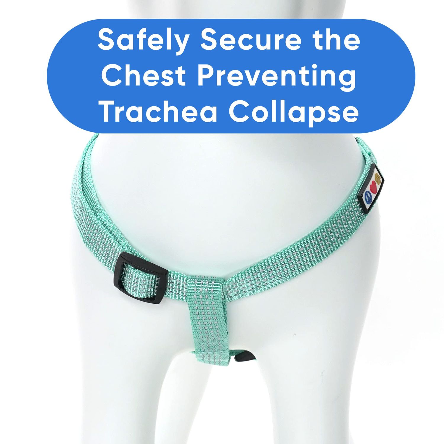 Pawtitas Reflective Step in Dog Harness or Reflective Vest Harness, Comfort Control, Training Walking of Your Puppy/Dog Large Dog Harness L Teal Dog Harness