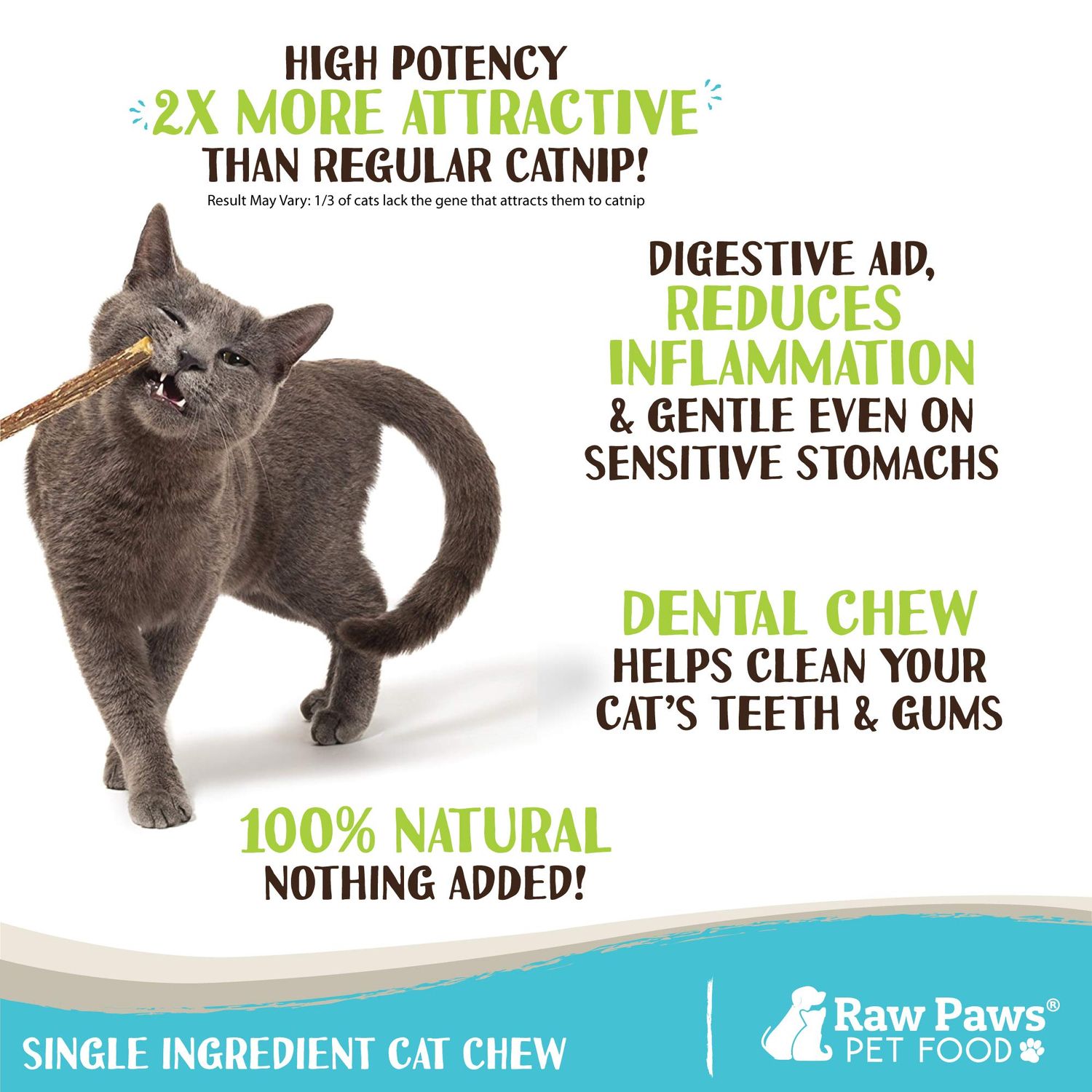 Raw Paws Silvervine Sticks, 30 ct - Silvervine Cat Toys for Indoor Cats - Catnip Sticks - Matatabi Cat Chew Stick - Silvervine for Cats, Silver Vine Sticks Cat Kicker Toy, Cat Toy Silvervine