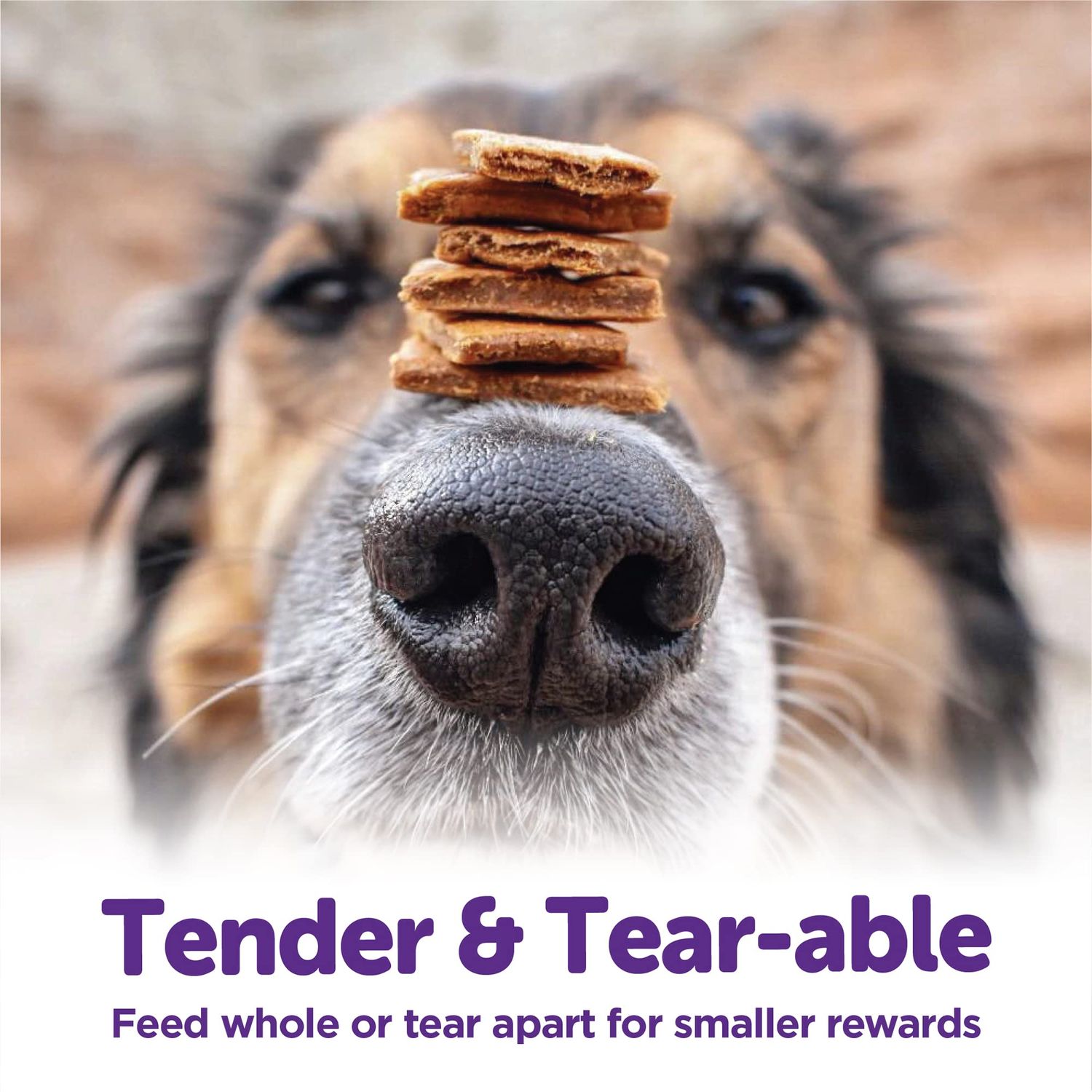 Wellness Rewarding Life Grain-Free Soft Dog Treats, Made in USA with Natural Ingredients, Ideal for Training (Chicken & Venison Recipe, 6-Ounce Bag)