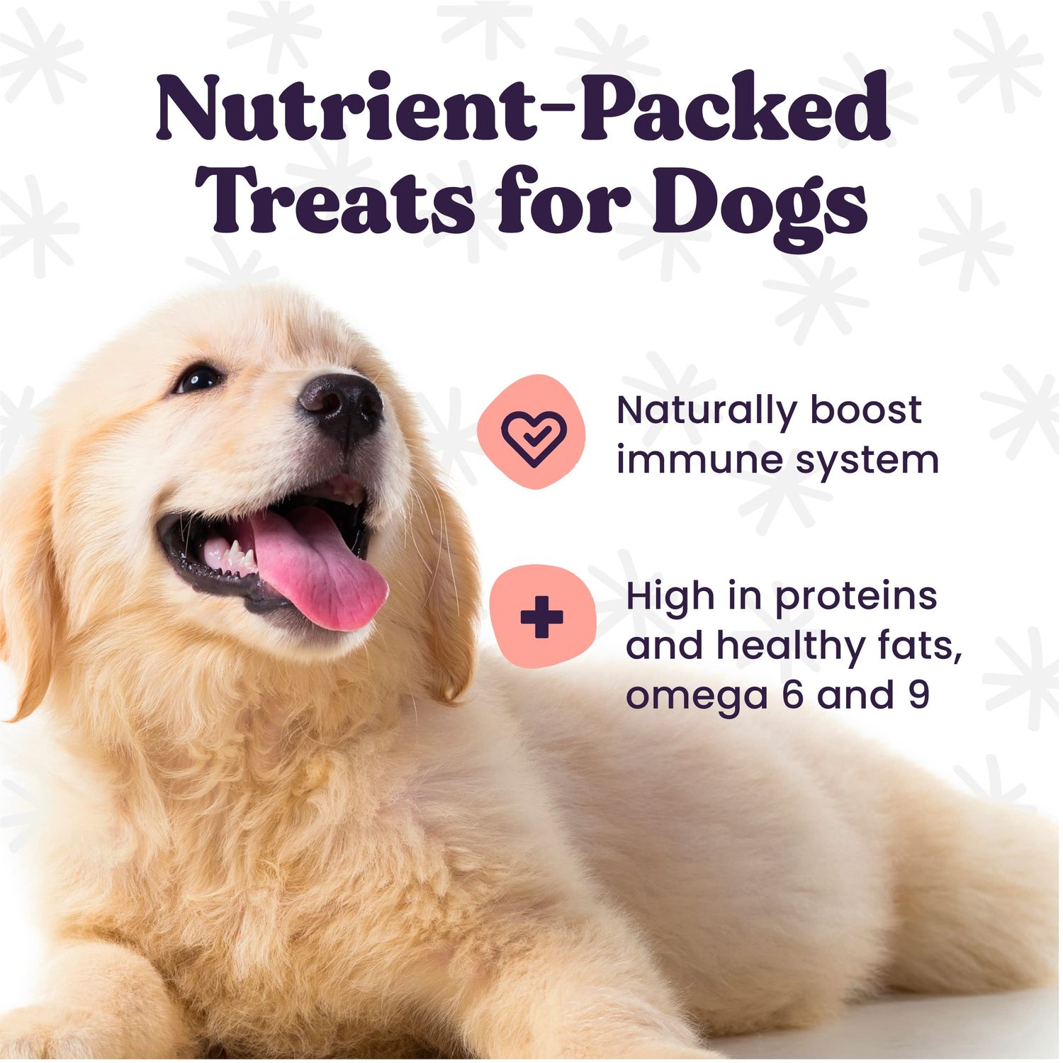 Foragers Feed Sustainable Insect Protein Dog Treat for Canine Health, Pumpkin and Goji Berry Flavor, 6 Oz. Resealable Bag