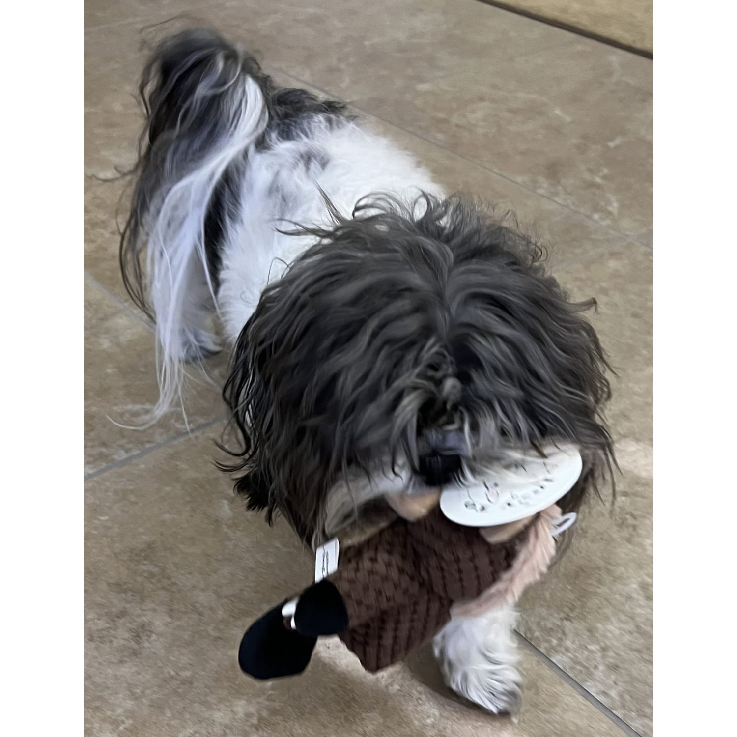 Glory To Dog Barnyard Horse Plush Small Dog Toy