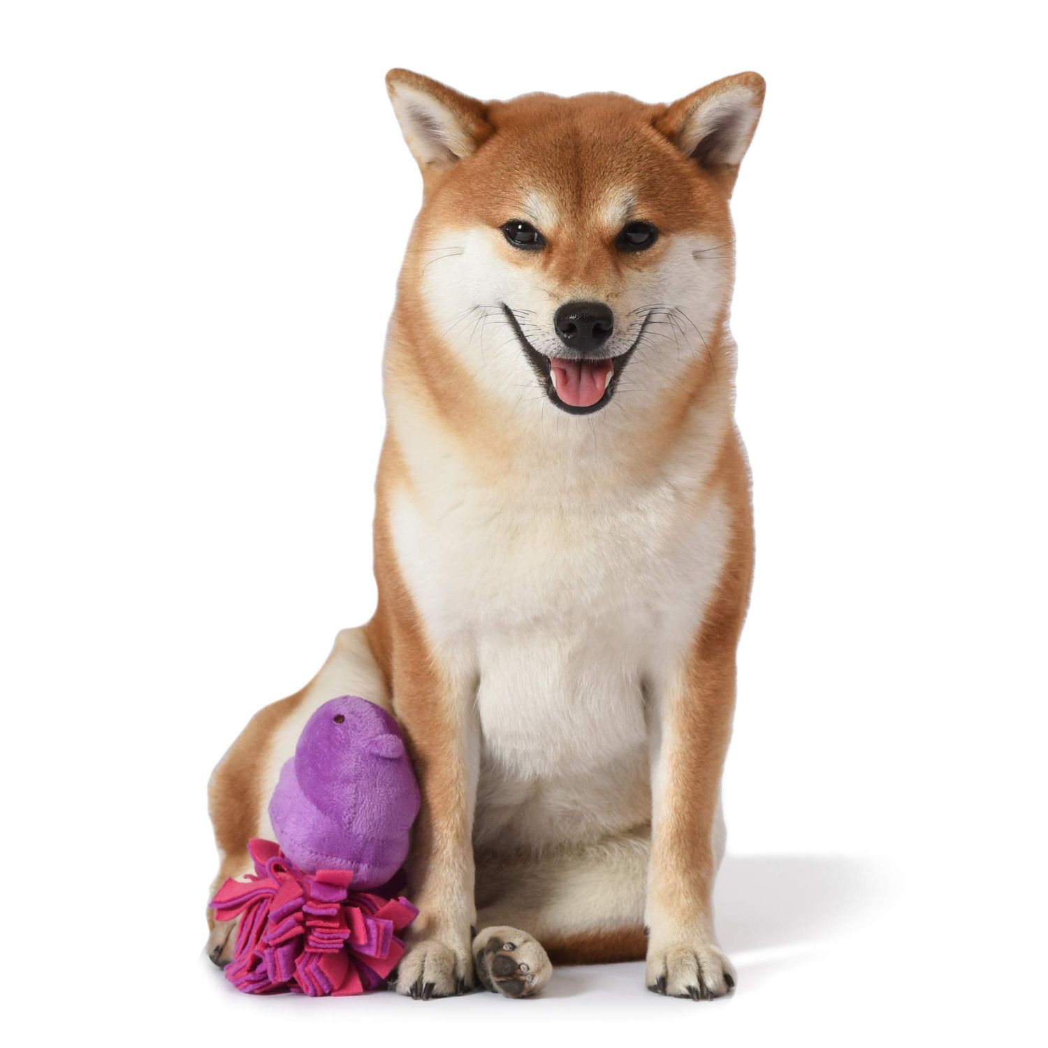 Peeps for Pets Plush Chick Fleece Bottom Dog Toy in Purple and Pink Purple Peeps Chick Dog Toys, Small Plush Dog Toys with Squeaker Soft and Squeaky Dog Toy for Pets