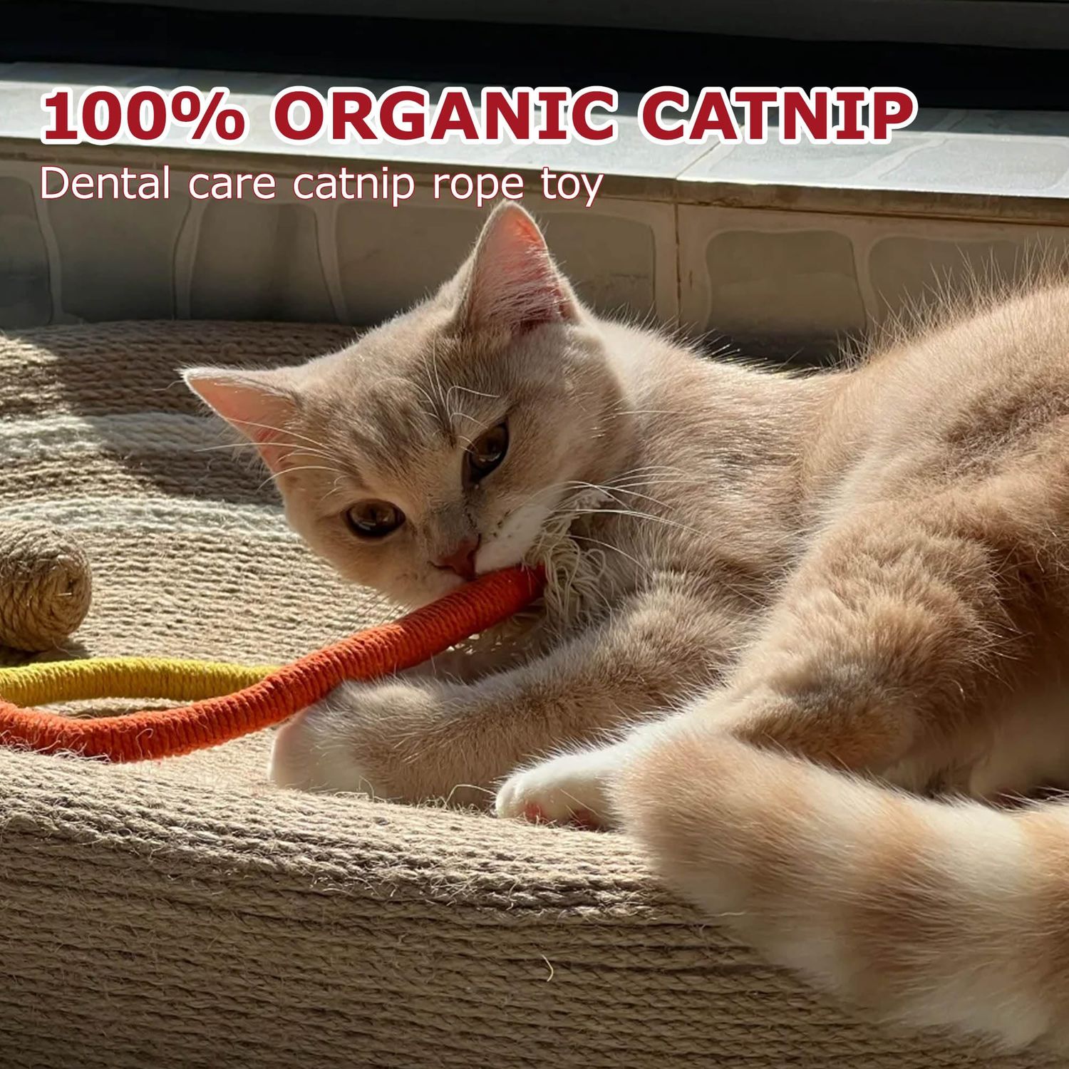 Leoezx™ Sisal Rope Cat Toys (3PCS), Cat Chew Teeth Toys, Interactive Cat Teething Toys, Cat Tooth Cleaning, Cat Bell Toys