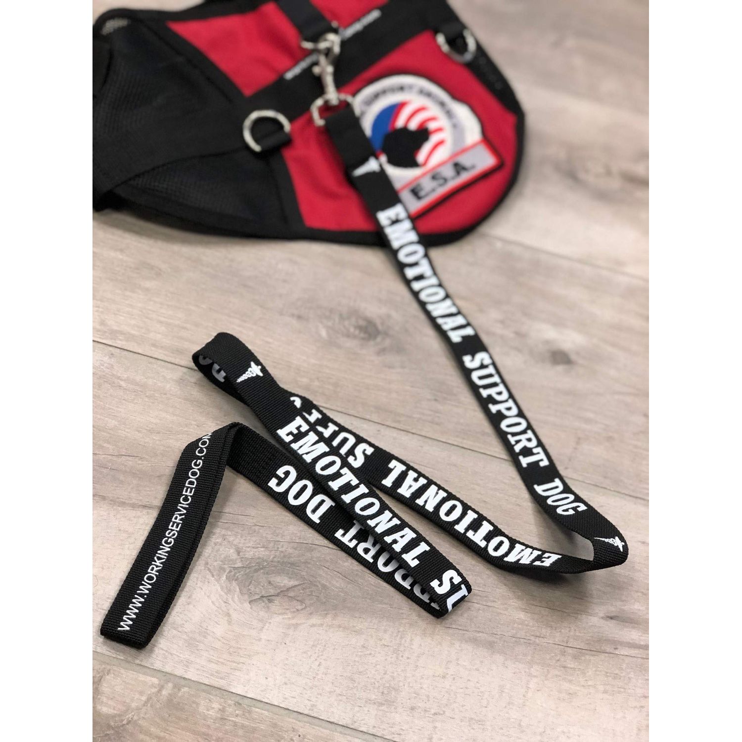 WORKINGSERVICEDOG.COM Emotional Support Dog Leash - Great Identification with or Without an Emotional Support Animal Vest - Includes Five ESA Information Cards