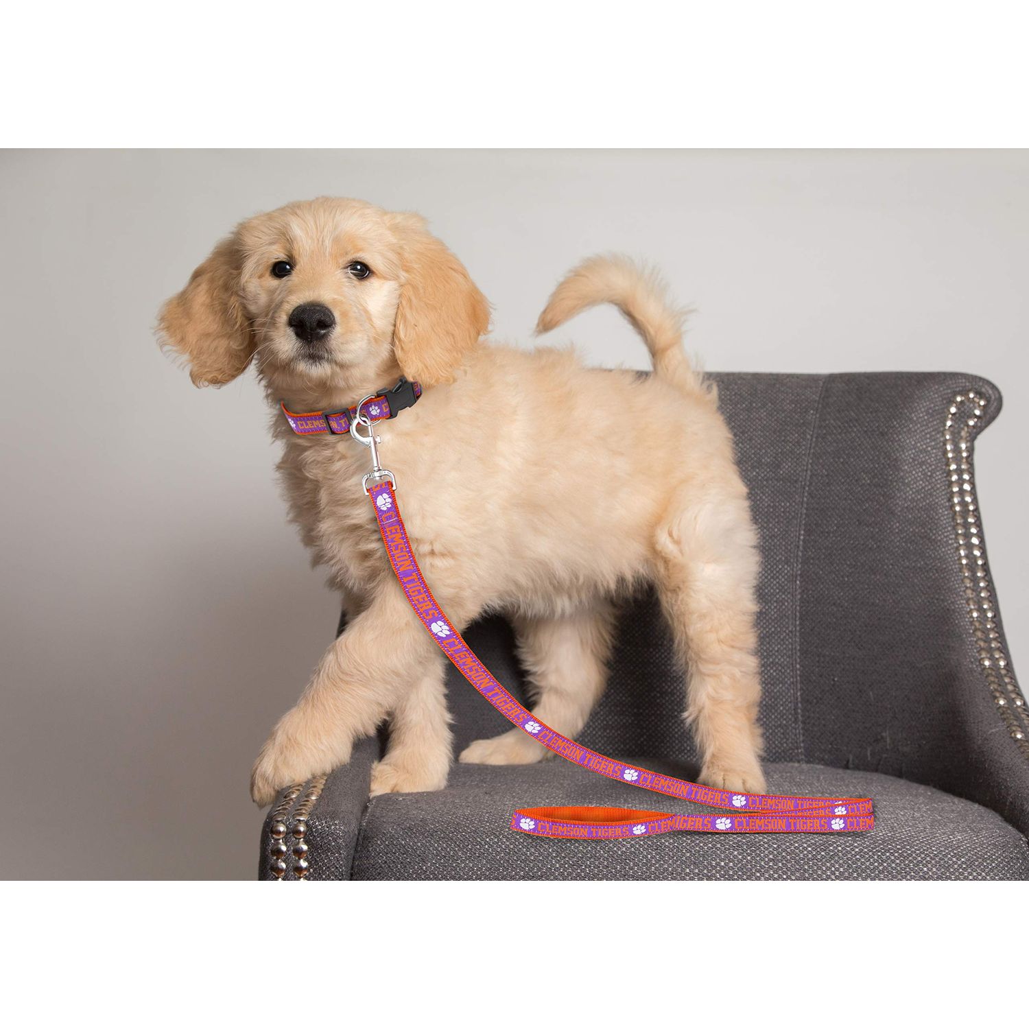 Pets First Collegiate Pet Accessories, Dog Leash, Clemson Tigers, Large