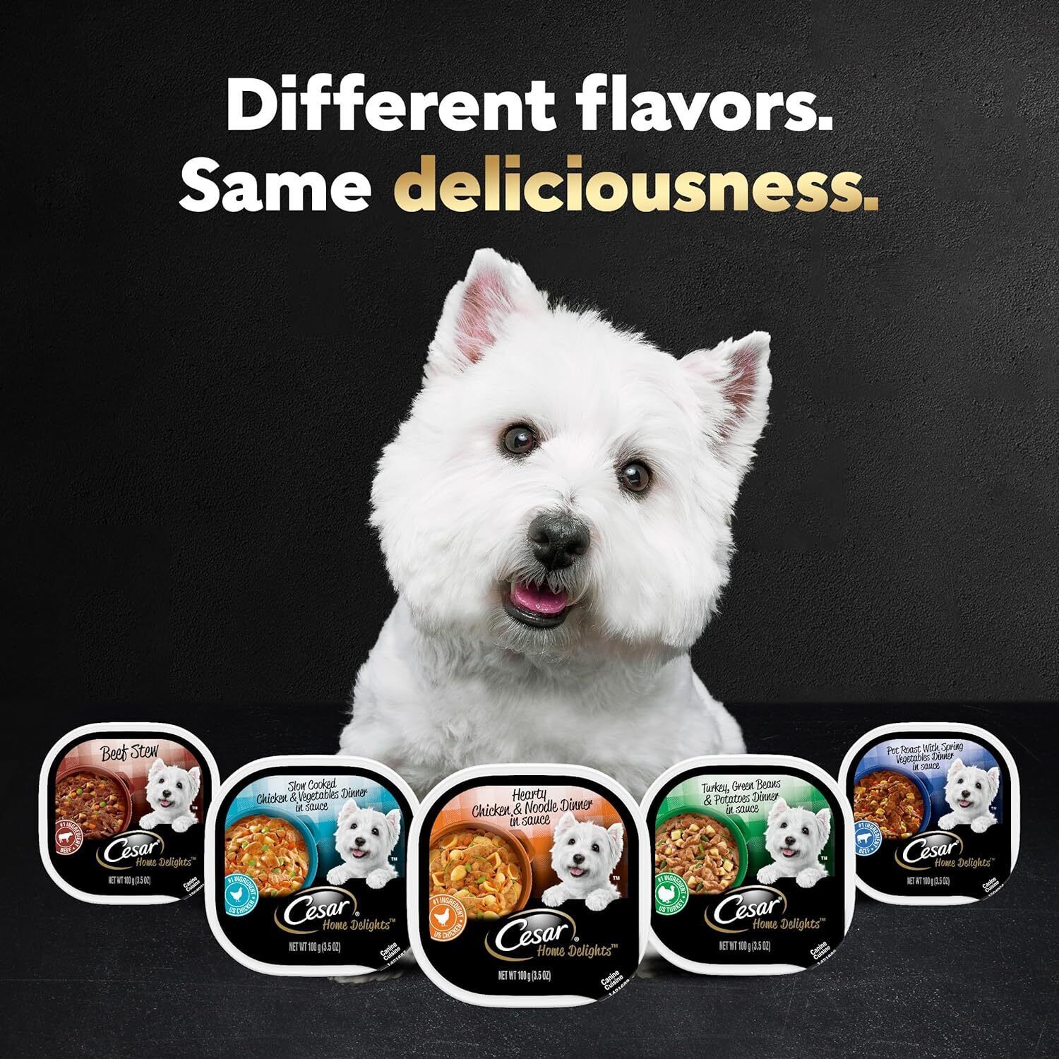 CESAR HOME DELIGHTS Soft Wet Dog Food Hearty Chicken & Noodle Dinner in Sauce,