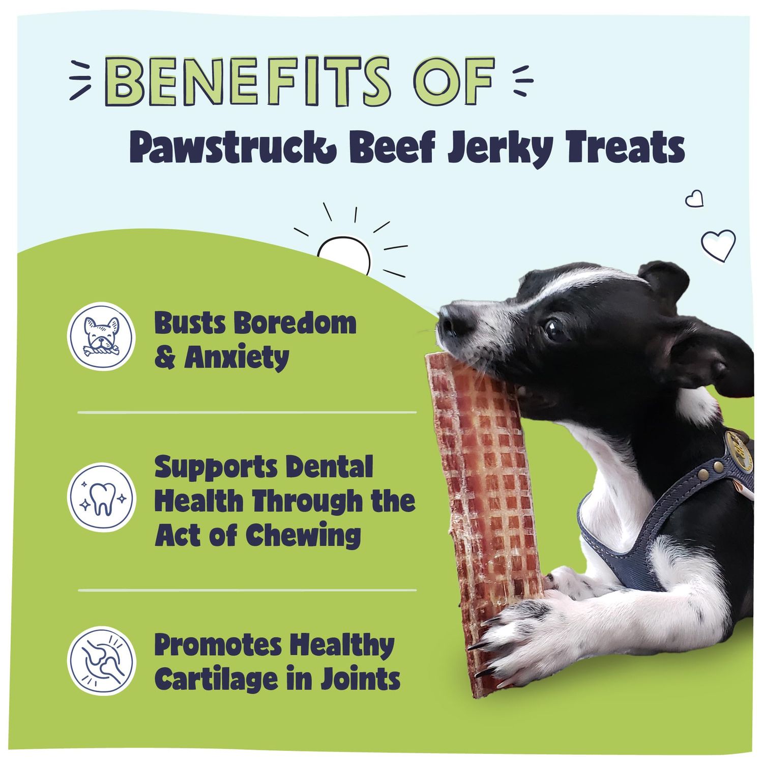 Pawstruck Premium Beef Jerky Dog Treat Chews, Medium 4"-6" Strips - Hip Joint Health Naturally Rich in Glucosamine & Chondroitin No Added Preservatives - 15 Count (Pack of 1) - Packaging May Vary