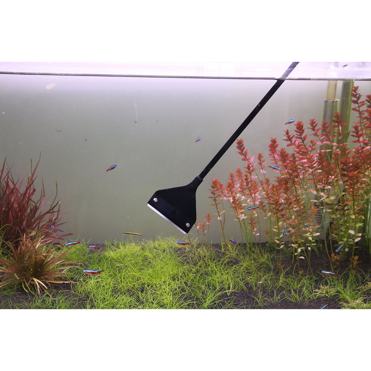 QANVEE Aquarium Algae Scraper Cleaner Brush with 10 Stainless Steel Blades for Fish Reef Plant Glass Tank 26 Inch
