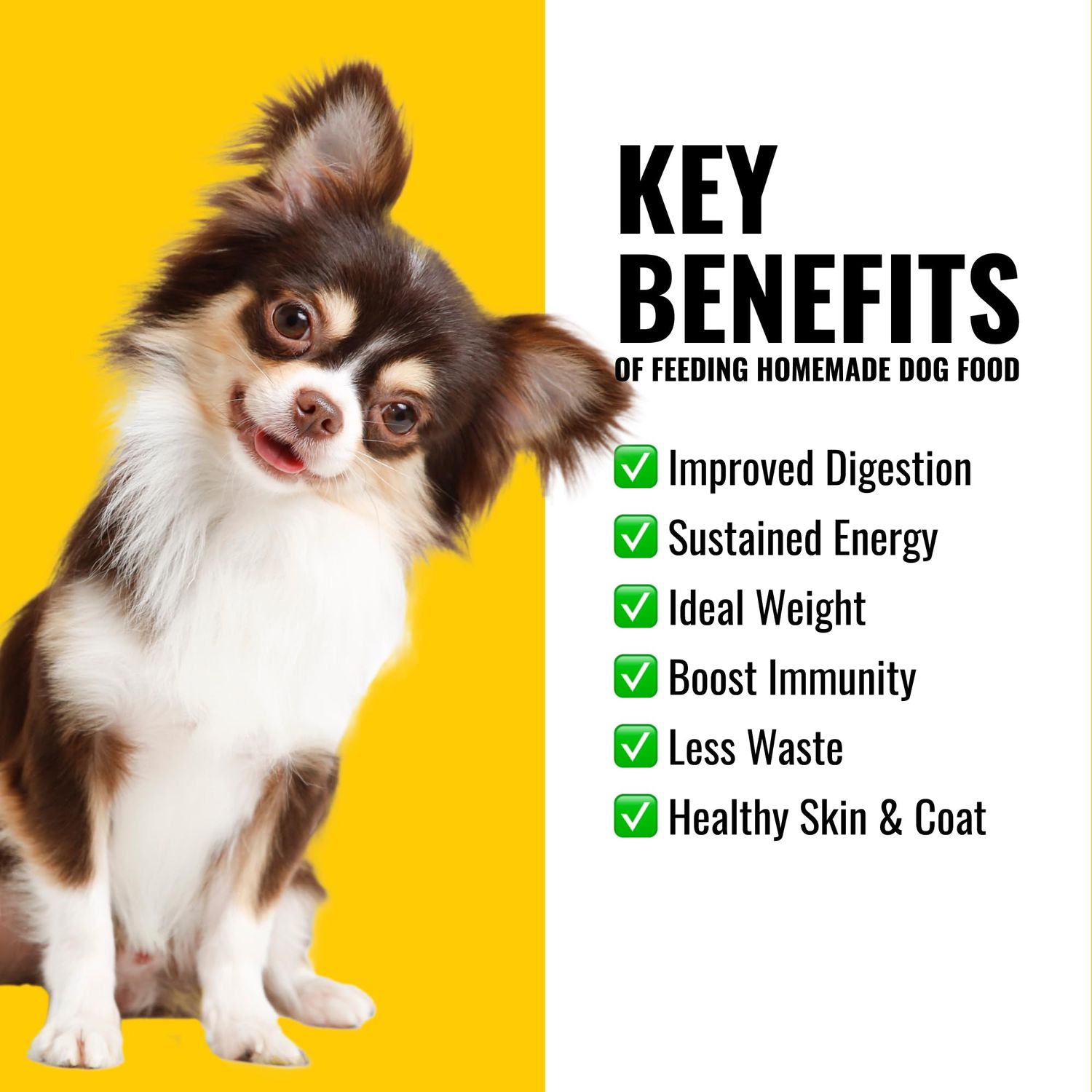 Azestfor Homemade Dog Food Vitamins Pre-Mix Powder – 24 Essential Nutrients – Supplement for Raw, Barf & Grain Free – for All Breeds & Ages – 16oz Veggie Flavored