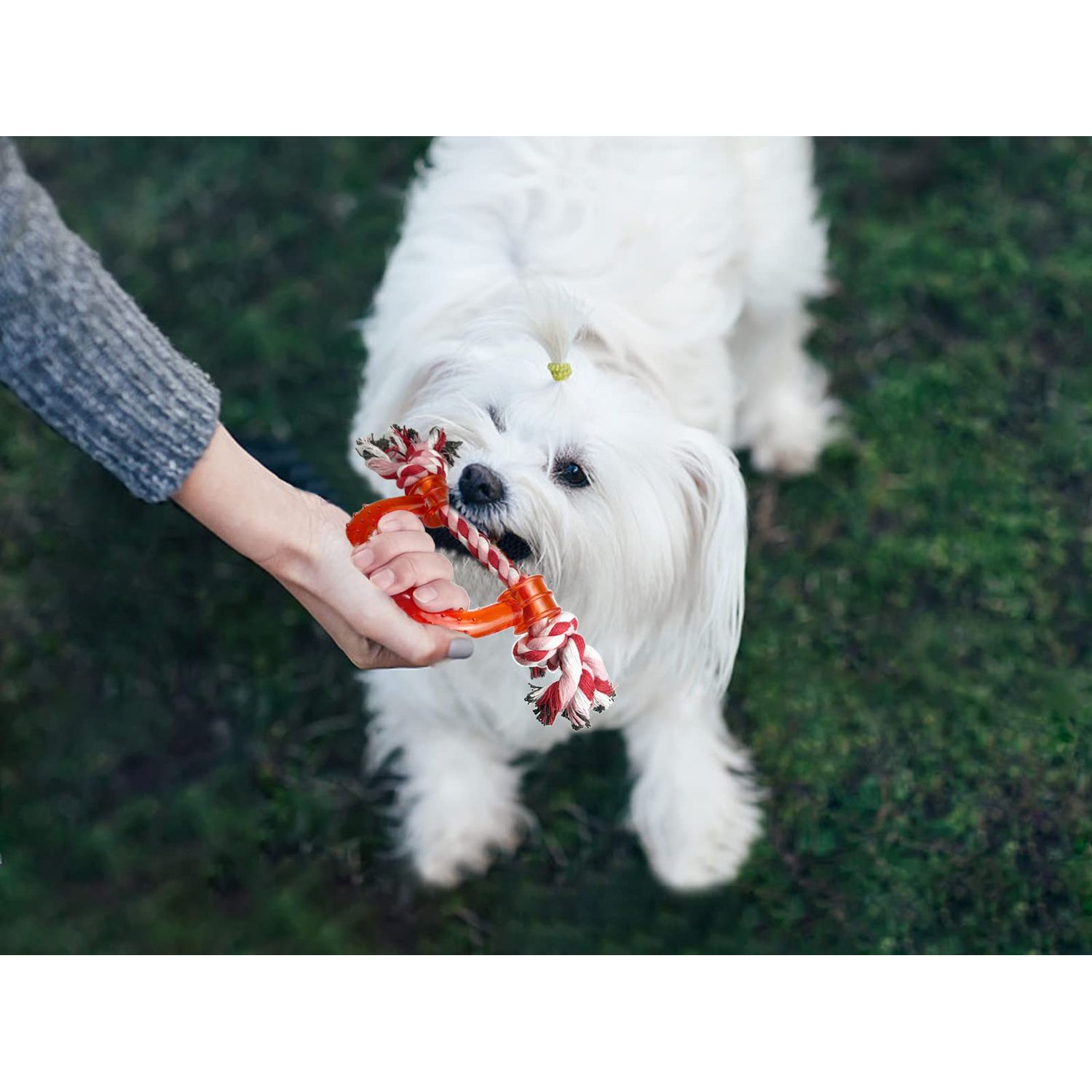 Vehomy 3Pcs Dog Valentine's Day Toys Dog Rope Toys for Dog Teeth Cleaning I Shape Heart Shape U Shape I Love You Valentine's Day Cotton Rope Puppy Chewing Toys for Small Medium Pet Dogs