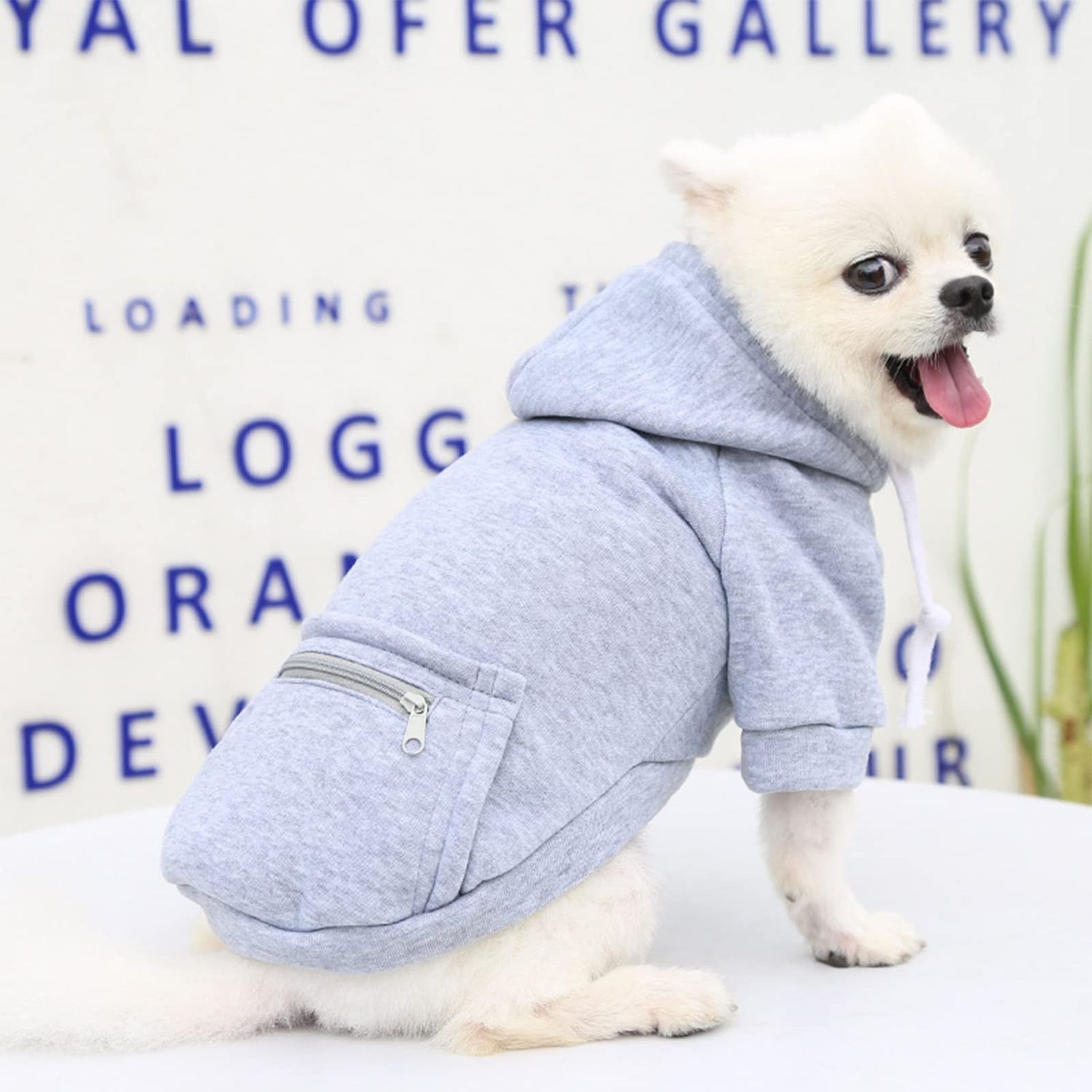 PETCARE Dog Hoodie Grey Winter Warm Dog Sweater Soft Fleece Hooded Sweatshirts with Pocket Puppy Sweaters Small Dog Clothes Chihuahua Yorkies French Bulldog Outfits Dog Cold Weather Clothes Coats