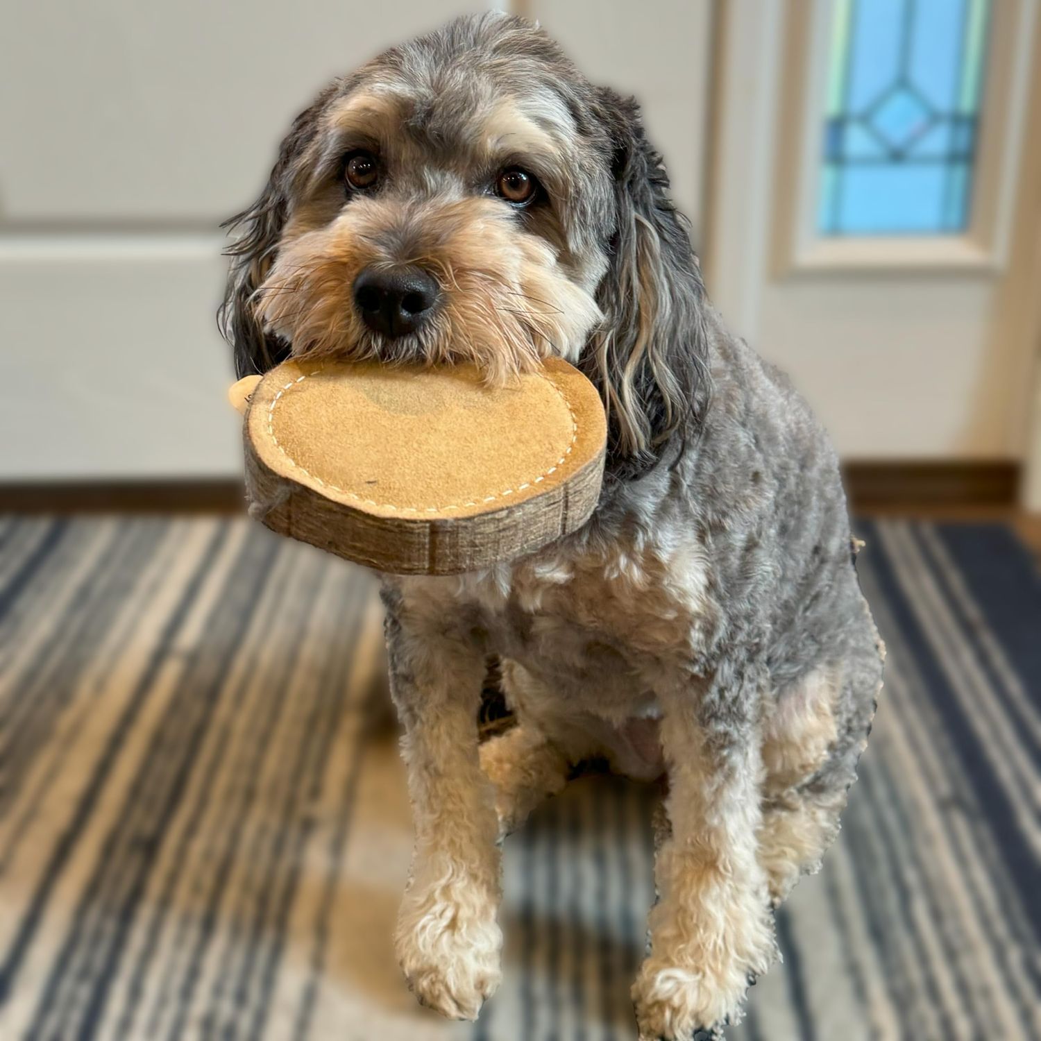 SPOT Dura-Fused Chunkies Raccoon - All Natural Leather and Felt Dog Toy - No Squeak, No Fluff, Durable, Extra Thick Dog Chew Toy for Aggressive Chewers, Great for Adult Dogs and Teething Puppies, 5in