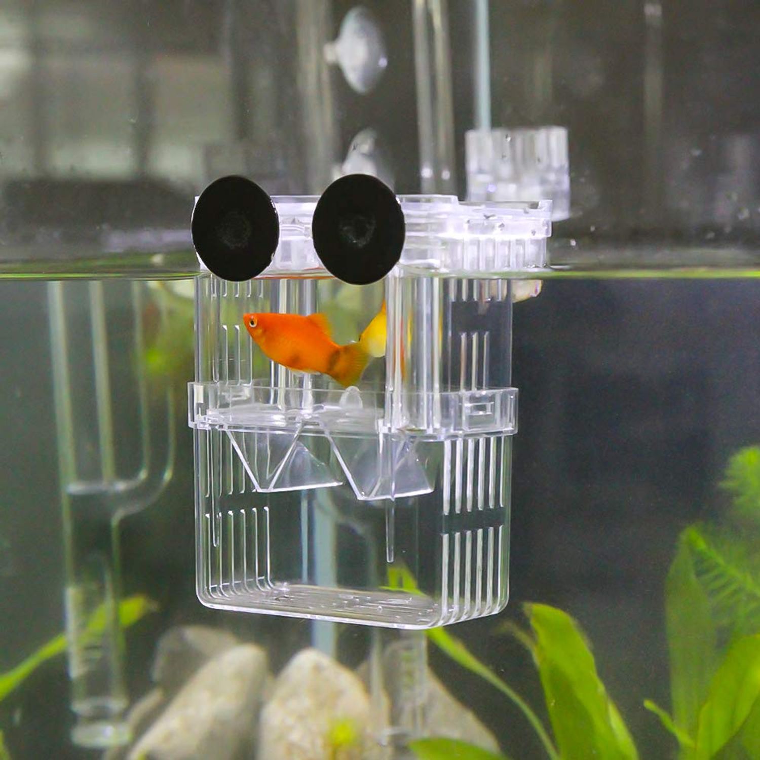 Senzeal Aquarium Fish Breeder Box Plastic Fish Isolation Breeding Box Hatching Incubator Box for Baby Fish Shrimp Clownfish Guppy