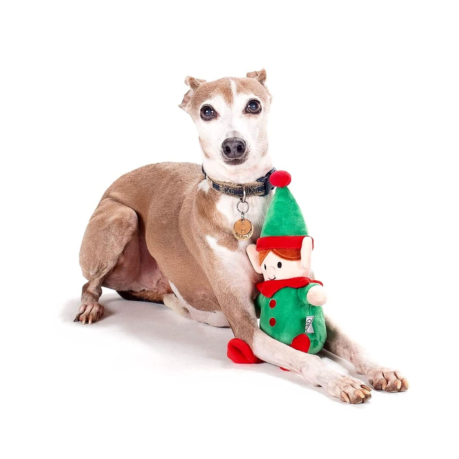 Midlee Christmas Elf Plush Dog Toy