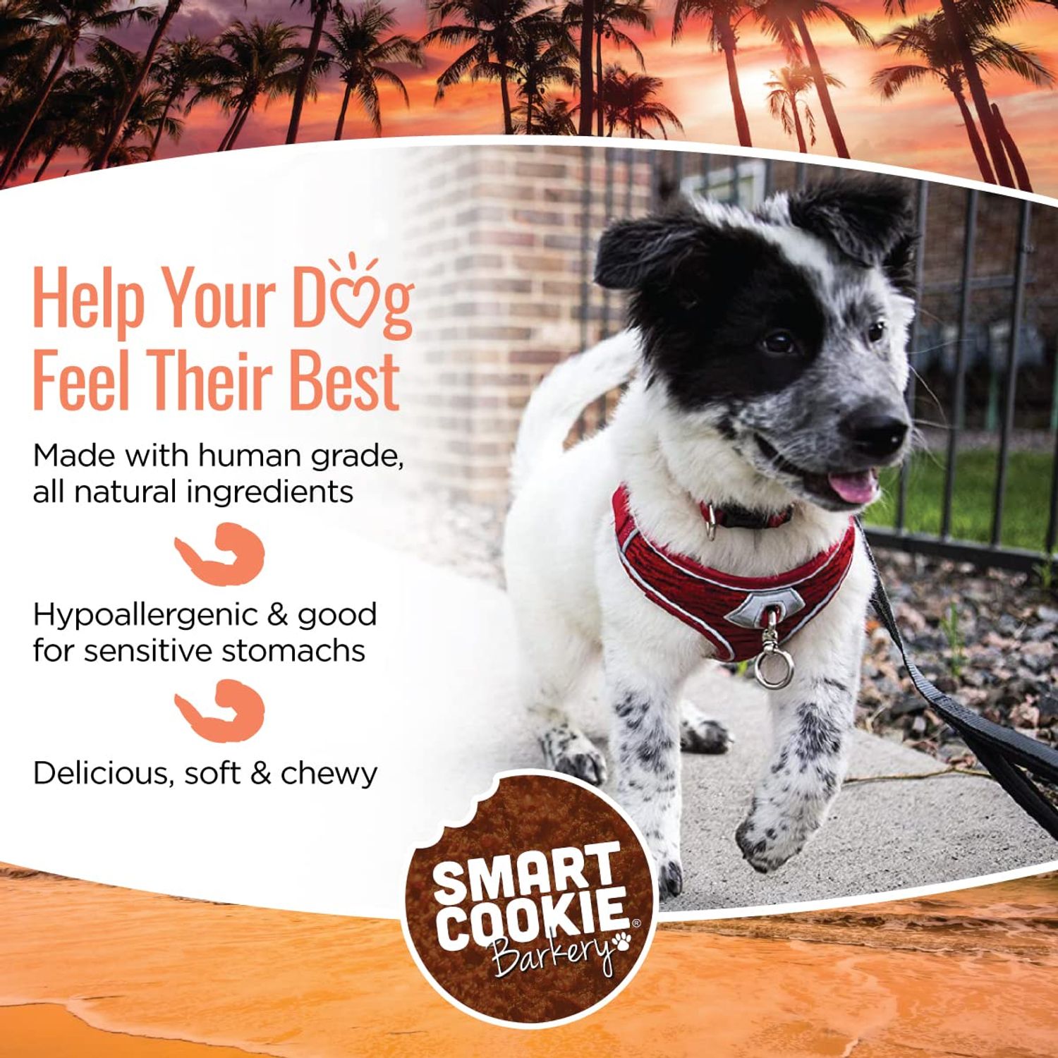 Smart Cookie All Natural Dog Treats - Shrimp & Coconut - Healthy Dog Treats for Allergies, Sensitive Stomachs - Soft Dog Treats, Chewy, Grain Free, Human-Grade, Made in The USA - 5oz Bag, 1 Pack