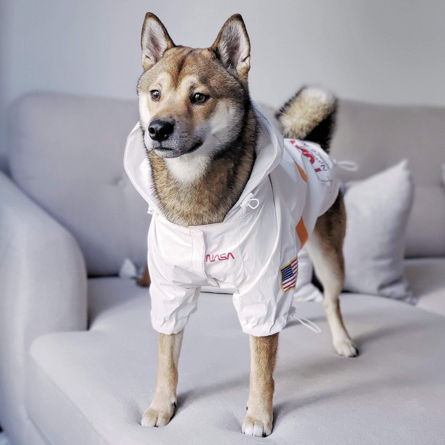 ChoChoCho NASA Dog Raincoats, Reflective Rain Jacket Water Proof, Dog NASA Costume, Dog Clothes, Pet Stylish Streetwear Outfit for Dogs Cat Puppy Small Medium Large (White, 4XL)