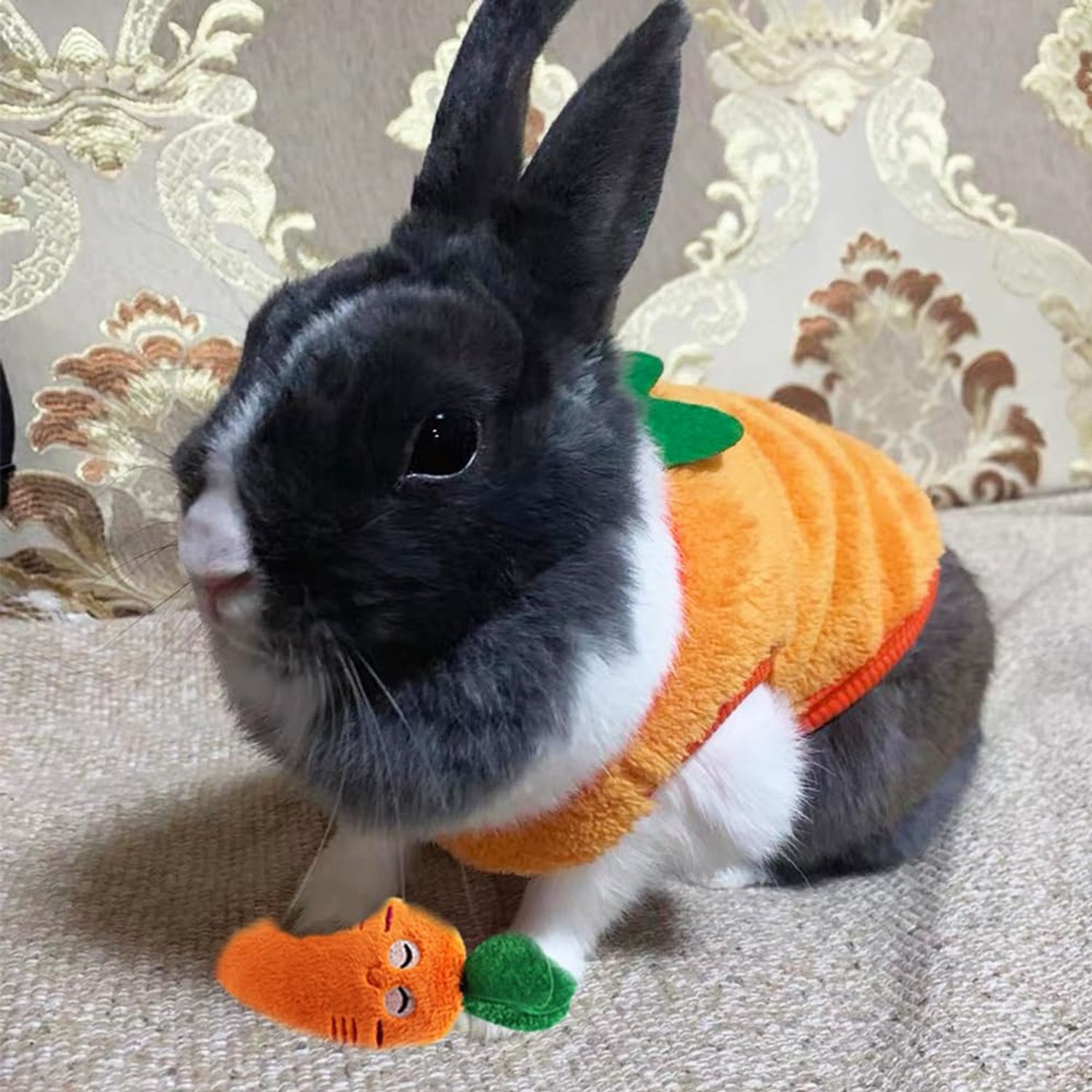 ANIAC XS Dog Sweater and Carrot Toy Set Warm Cat Clothes Fleece Puppy Sweatshirt for Small Dog Girl boy Chihuahua Sweater Carrot Easter Costume for Yorkie Pug Extra Small Dog (Orange, XX-Small)
