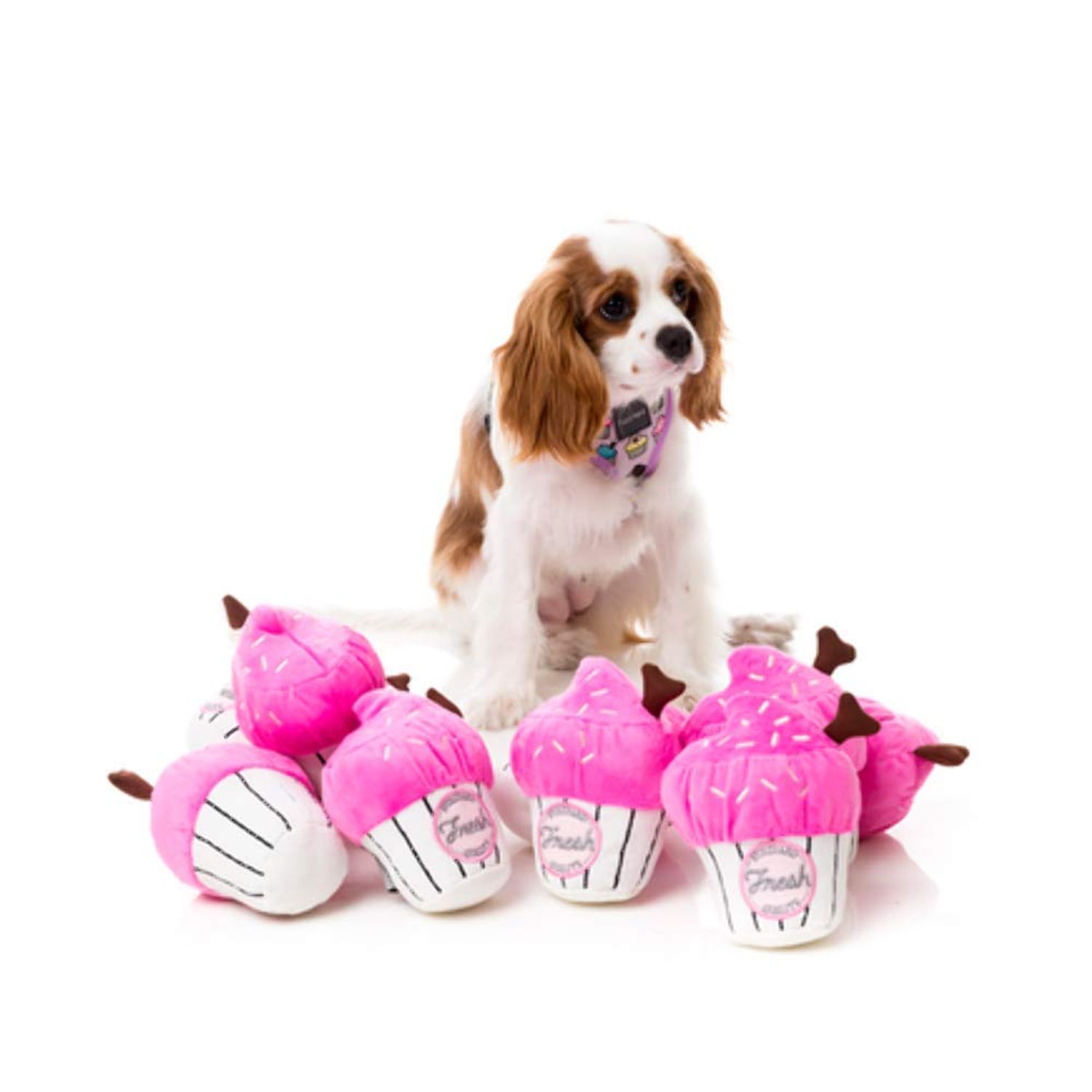 Fuzzyard Pink Cupcake Dog Toy Small Plush with Squeaker Non Toxic Washable