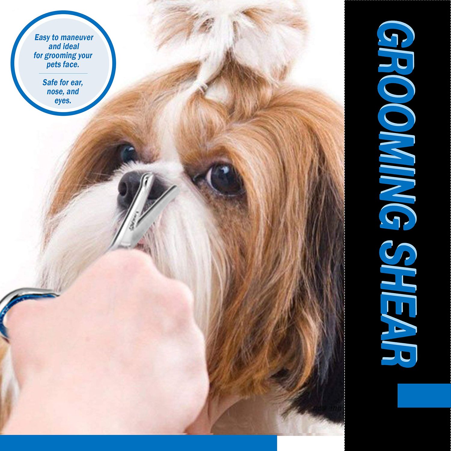 Laazar Straight Dog Grooming Scissors - Comfortable Around The Eyes Cat & Dog Scissors | Blunt Dog Trimming Scissors| Premium Stainless Steel | Grooming Scissors For Dogs - Dog Hair Scissors
