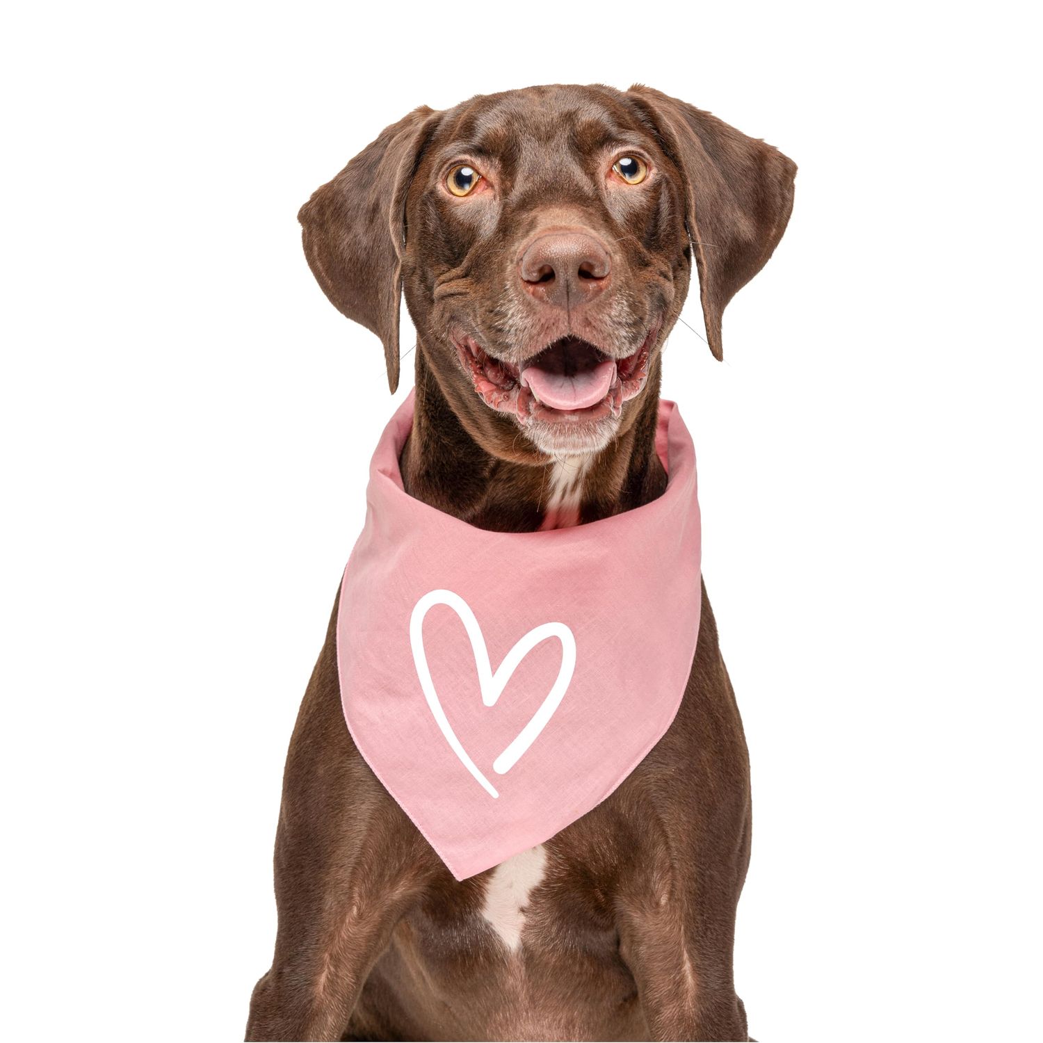 Heart Valentine's Day Dog Bandana (Purple, XS 629)