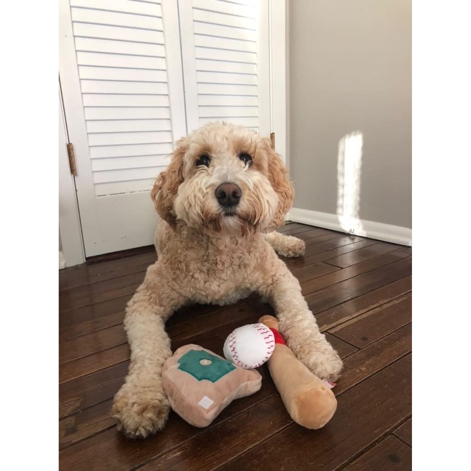 TONBO Cute Plush Dog Toys (Ball Park Combo)