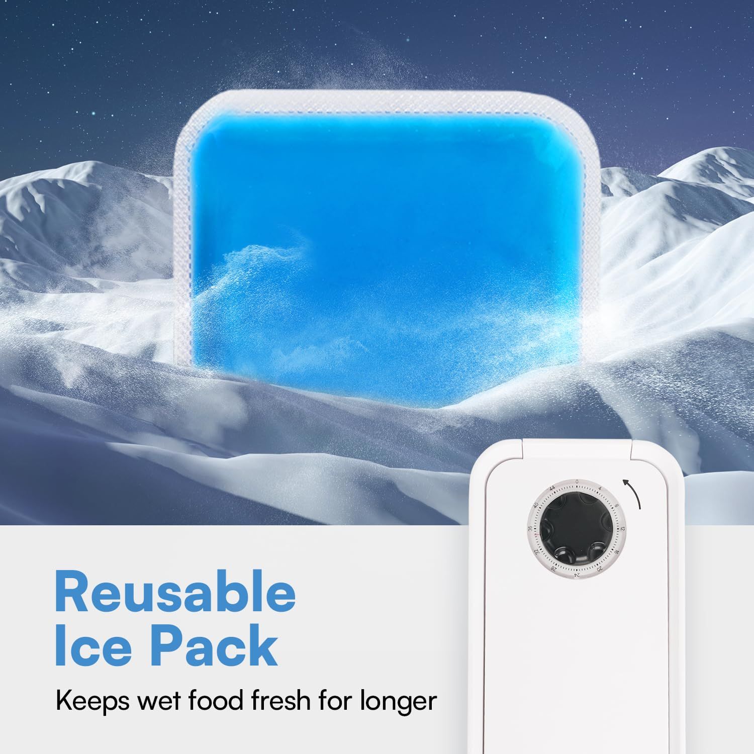 ALL FOR PAWS Timed Dog Feeder with Ice Pack – 1 Meal | Automatic Pet Food Dispenser | Portion Control | Keep Fresh | Ideal for All Dog Breeds (1 Meal)