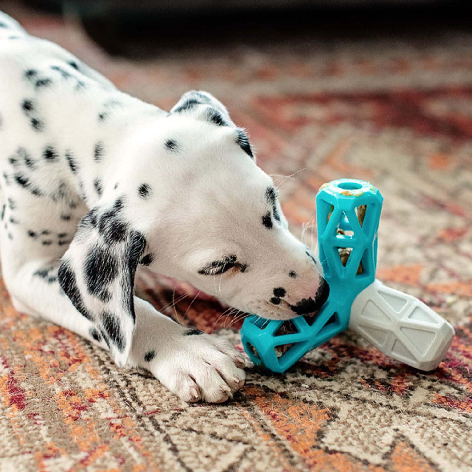 Messy Mutts Totally Pooched Squeak n' Stuff Pyramid | 5” Durable TPR Dog Toy with Squeaker | Made for Tough Chewers | Interactive Treat Puzzle for Dogs | Grey/Teal