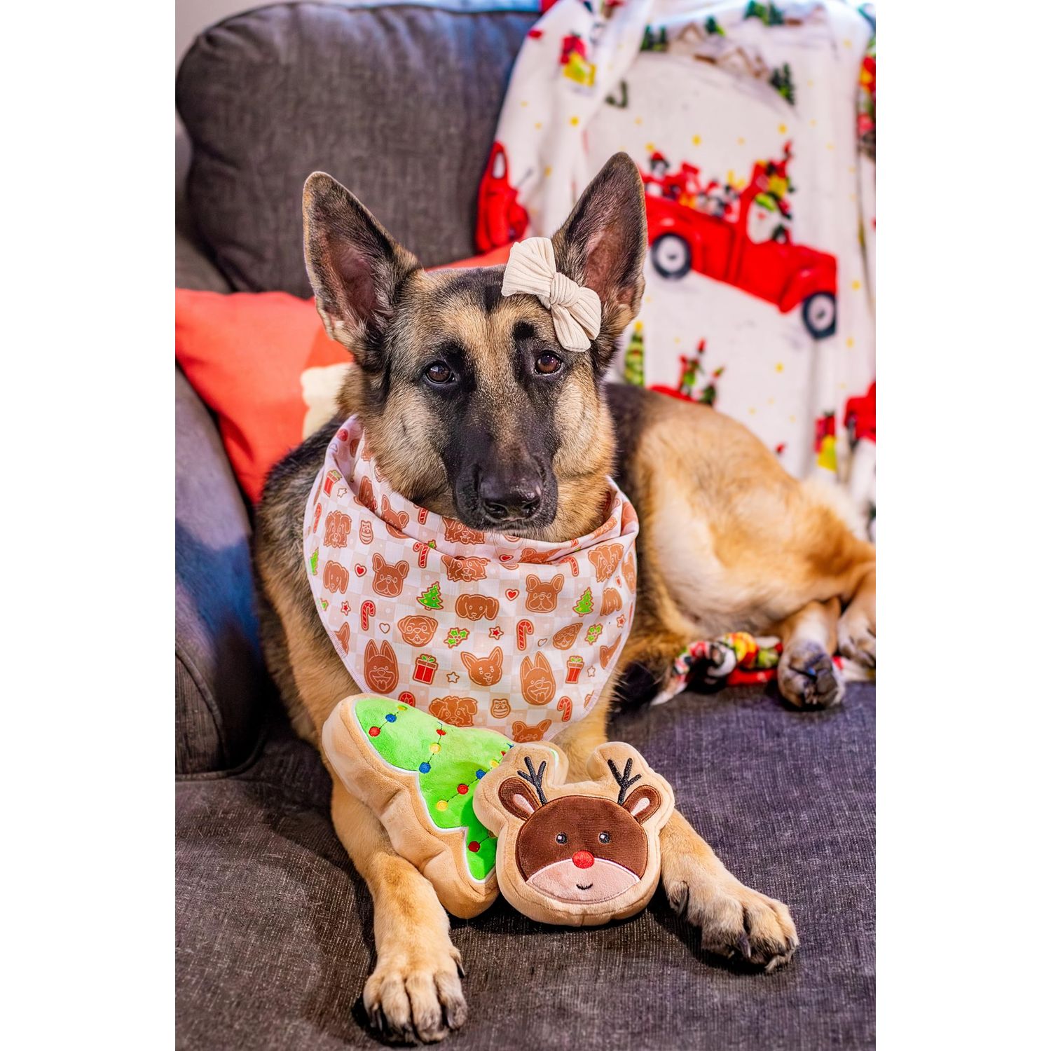 Midlee Reindeer Sugar Cookie Dog Toy (Small)