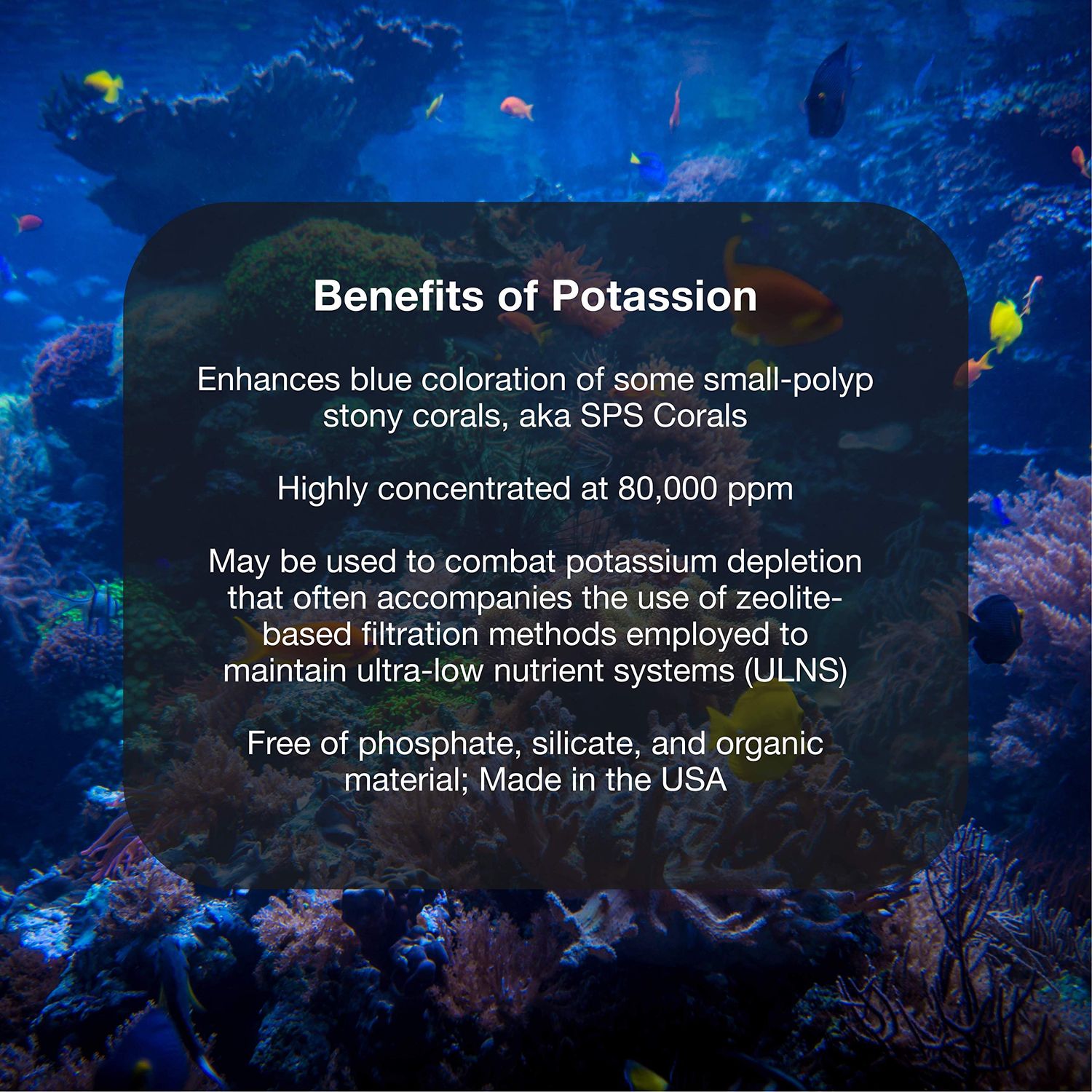 Brightwell Aquatics Potassion - Liquid Potassium Supplement for Marine Reef Fish Aquariums 500-ml