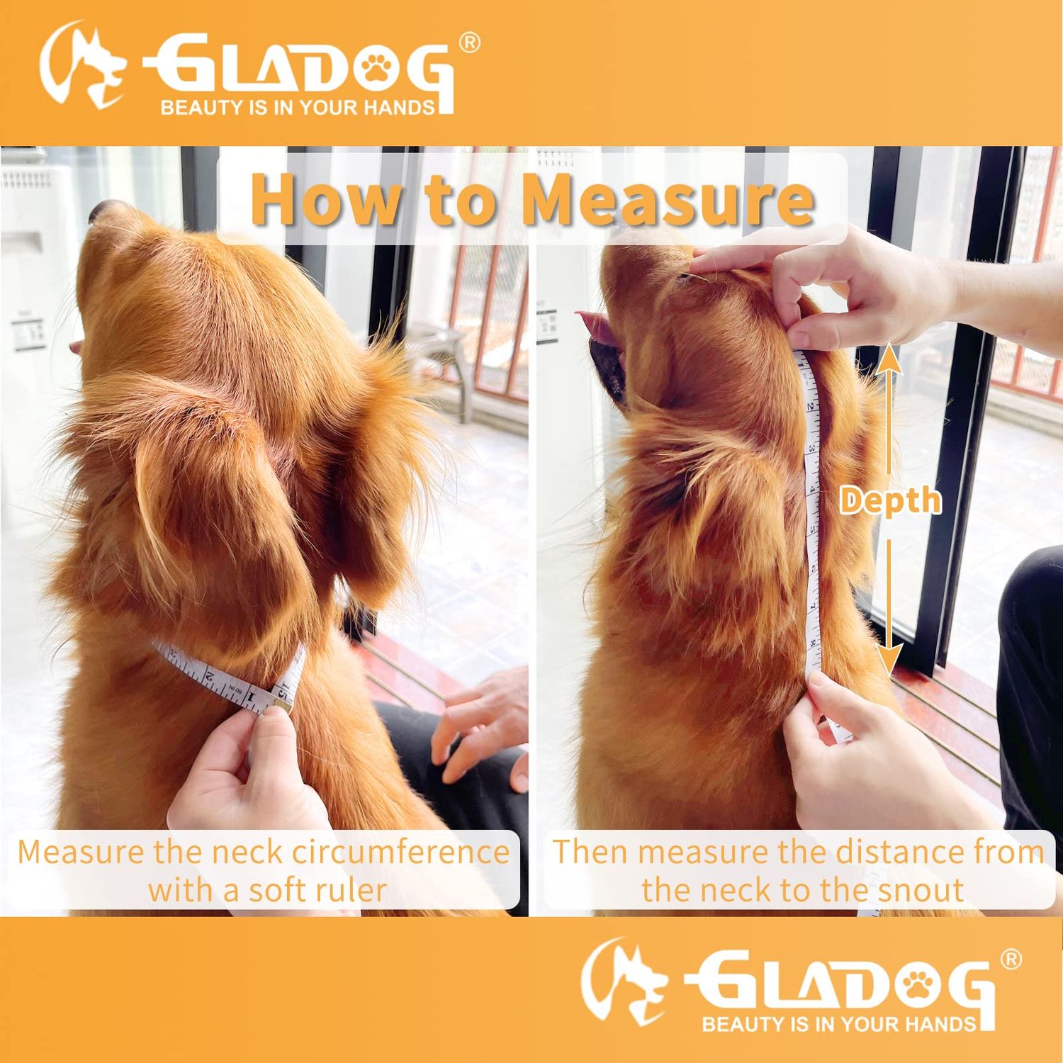 Soft Dog Cone Collar, 2 PCS (for Exact Size) Flexible Plastic Cone for Dogs After Surgery, Dog Recovery Collar, Adjustable E-Collar for Large/Medium/Small Dogs Cat, Comfy Elizabethan Collar (M)
